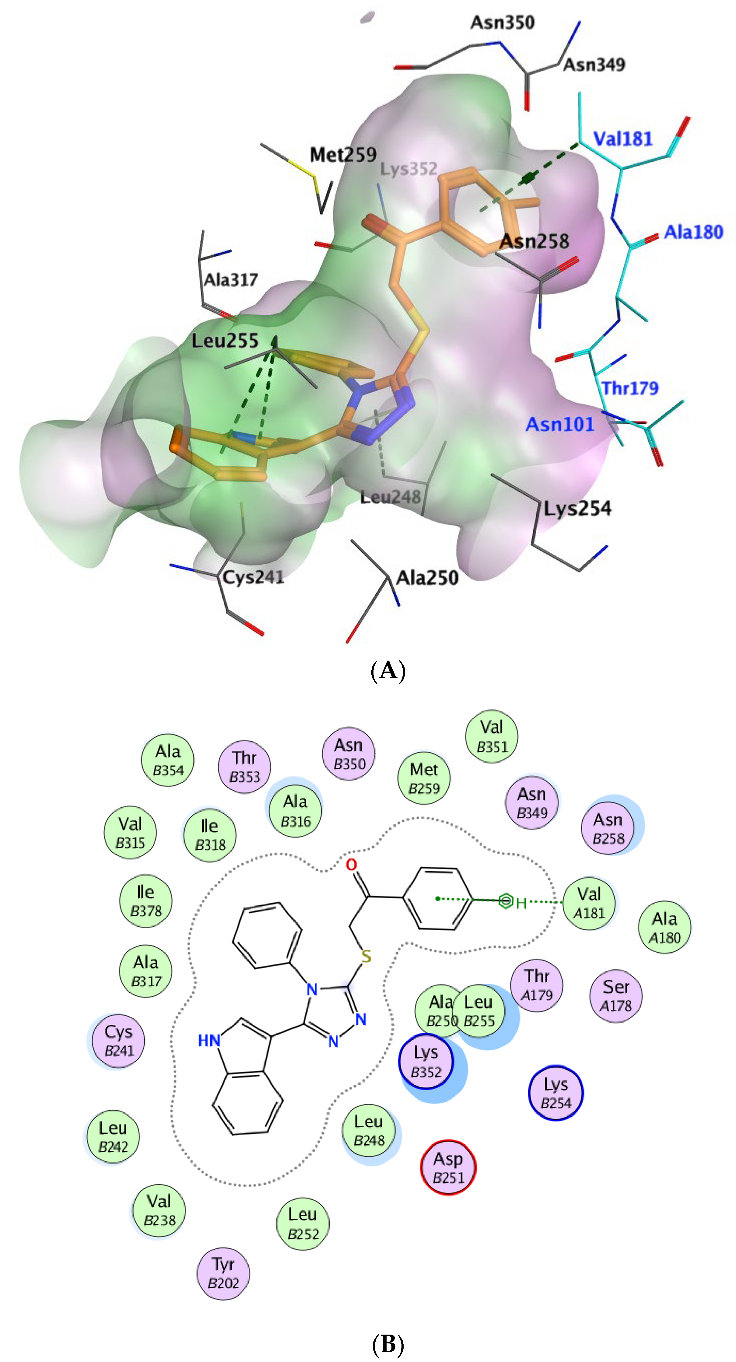 Pharmaceuticals 18 00275 g009