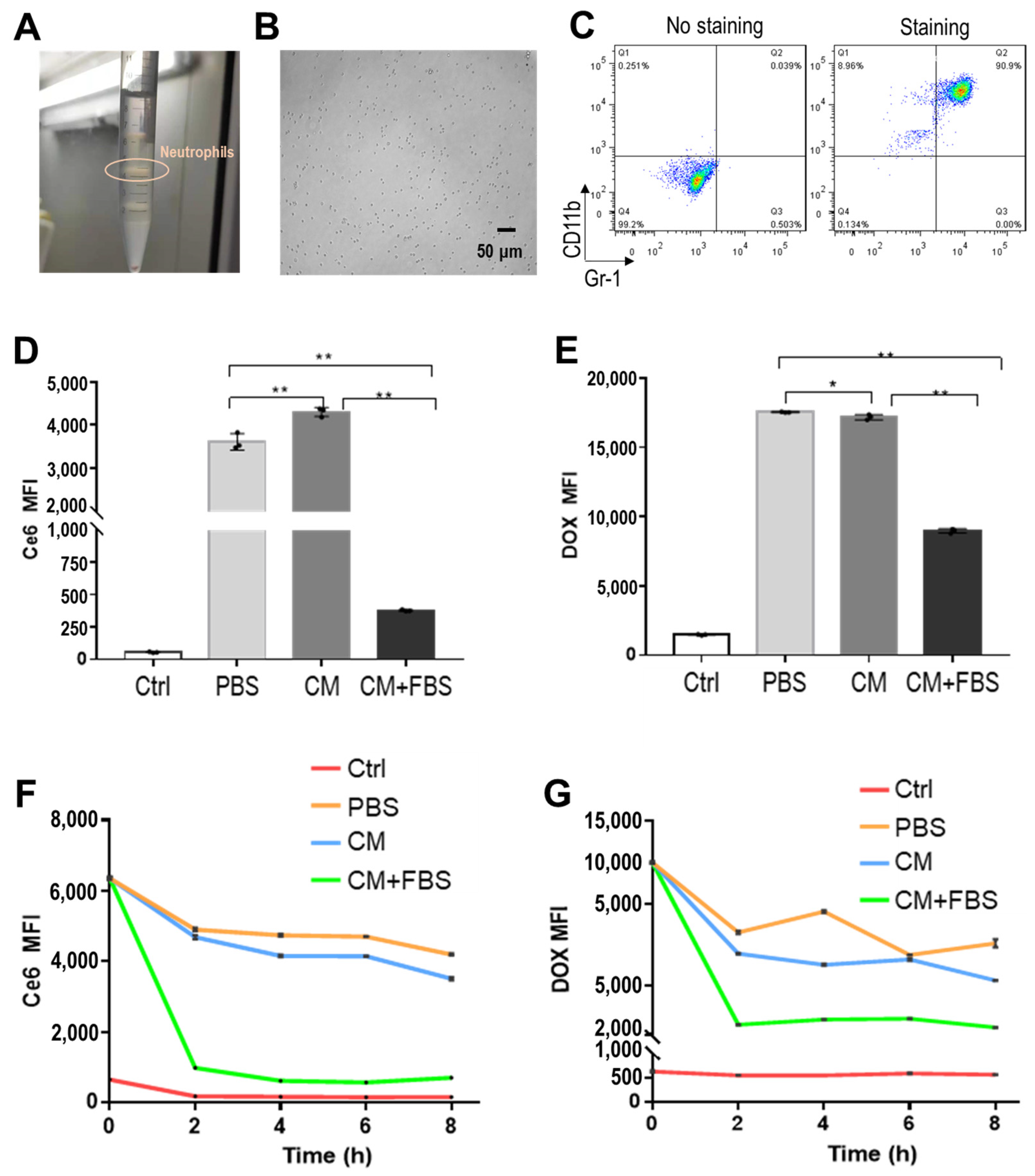 Pharmaceuticals 18 00276 g002