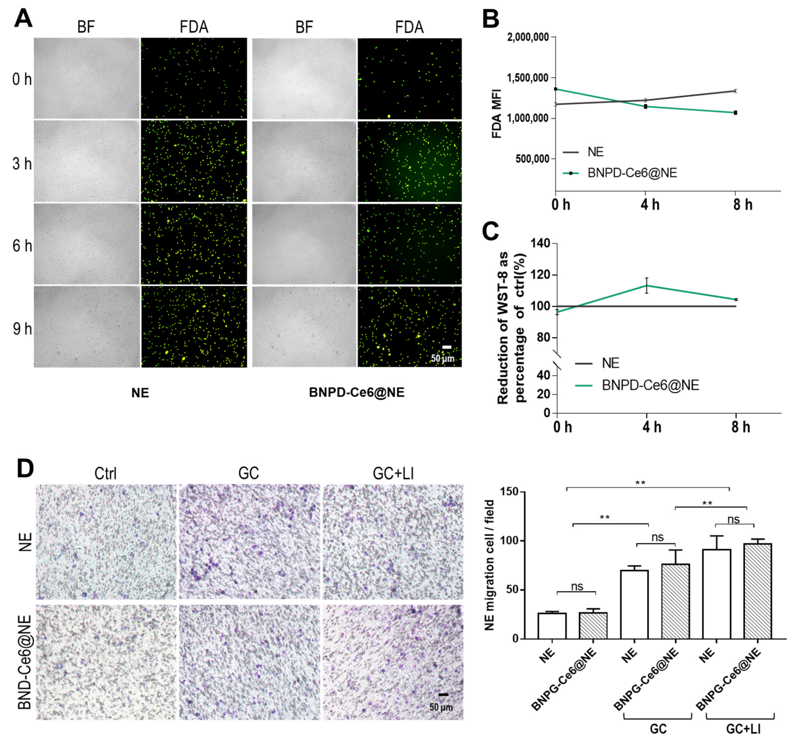 Pharmaceuticals 18 00276 g003