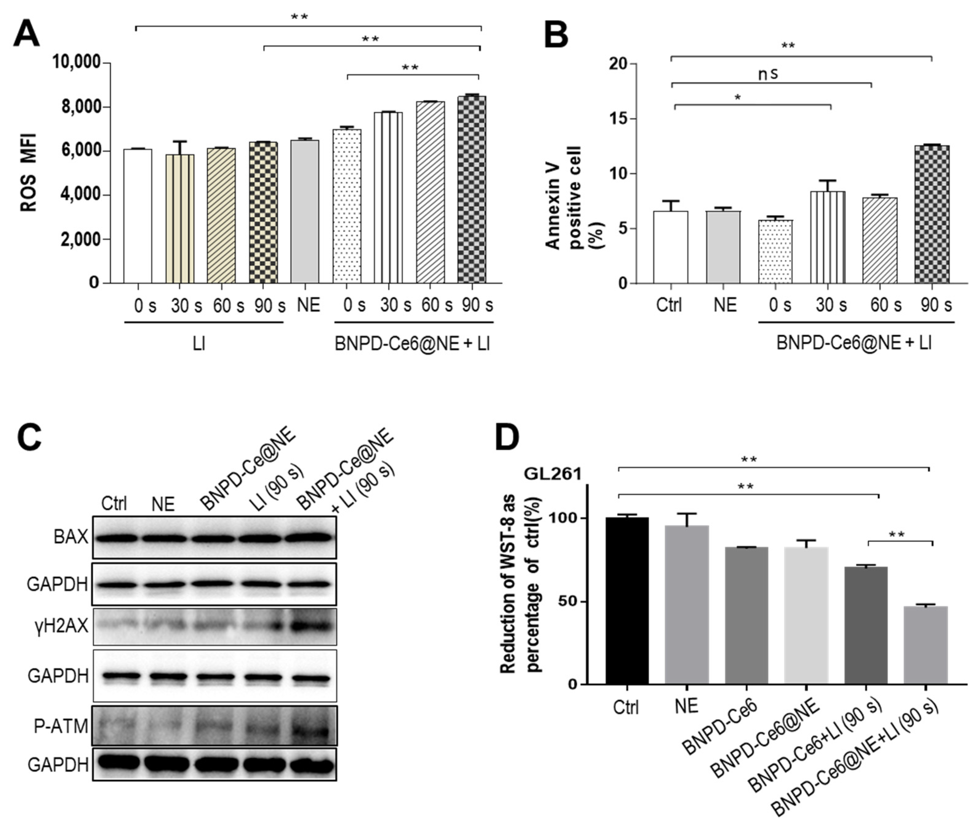 Pharmaceuticals 18 00276 g005