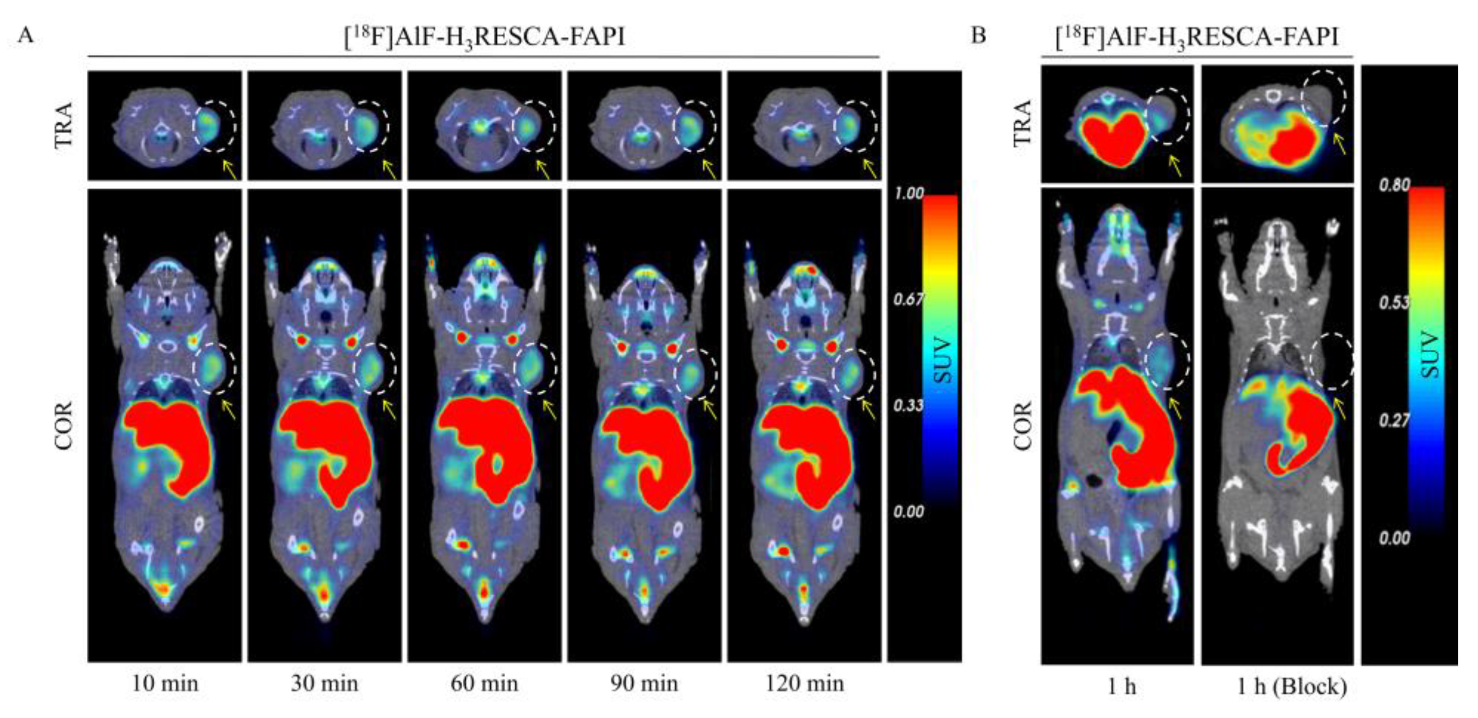 Pharmaceuticals 18 00277 g007