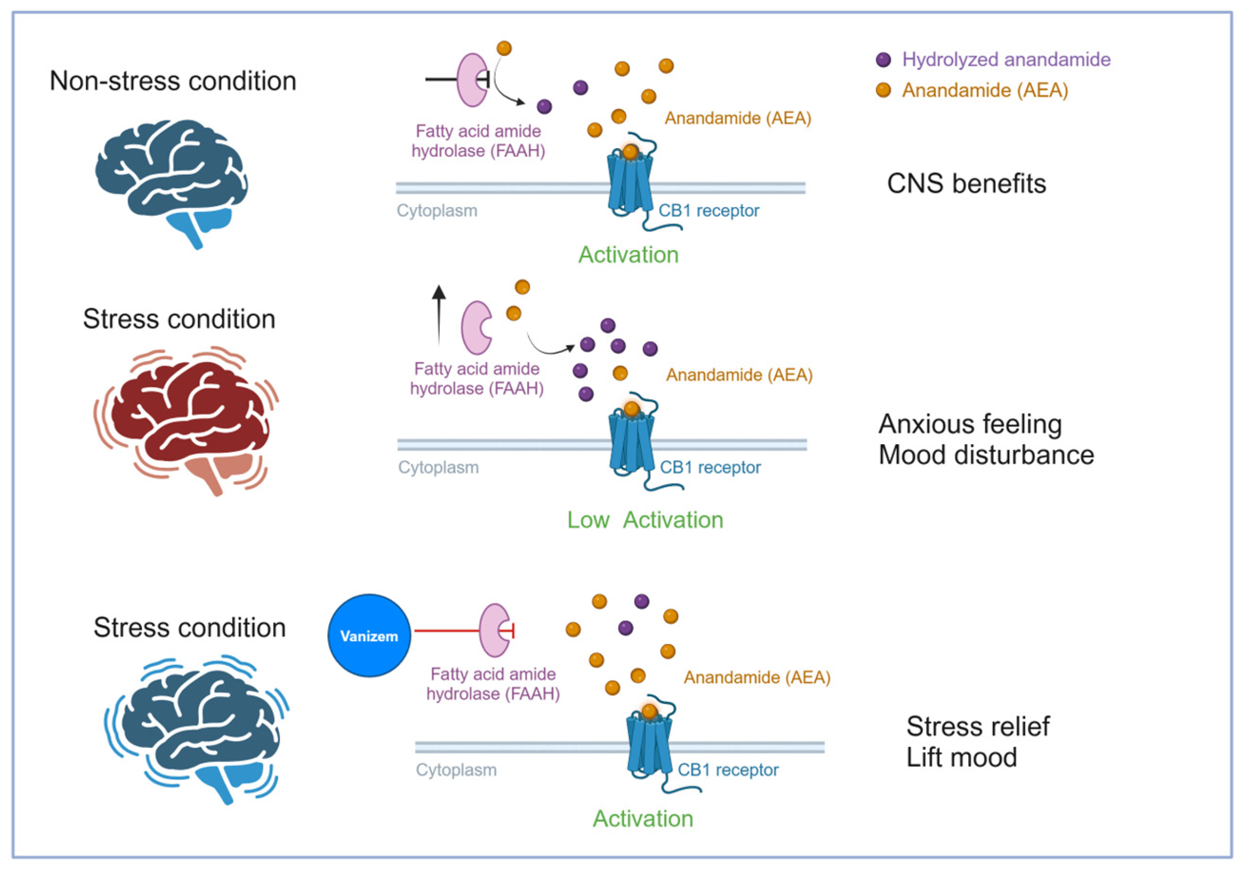 Pharmaceuticals 18 00278 g008 Pharmaceuticals 18 00278 g008