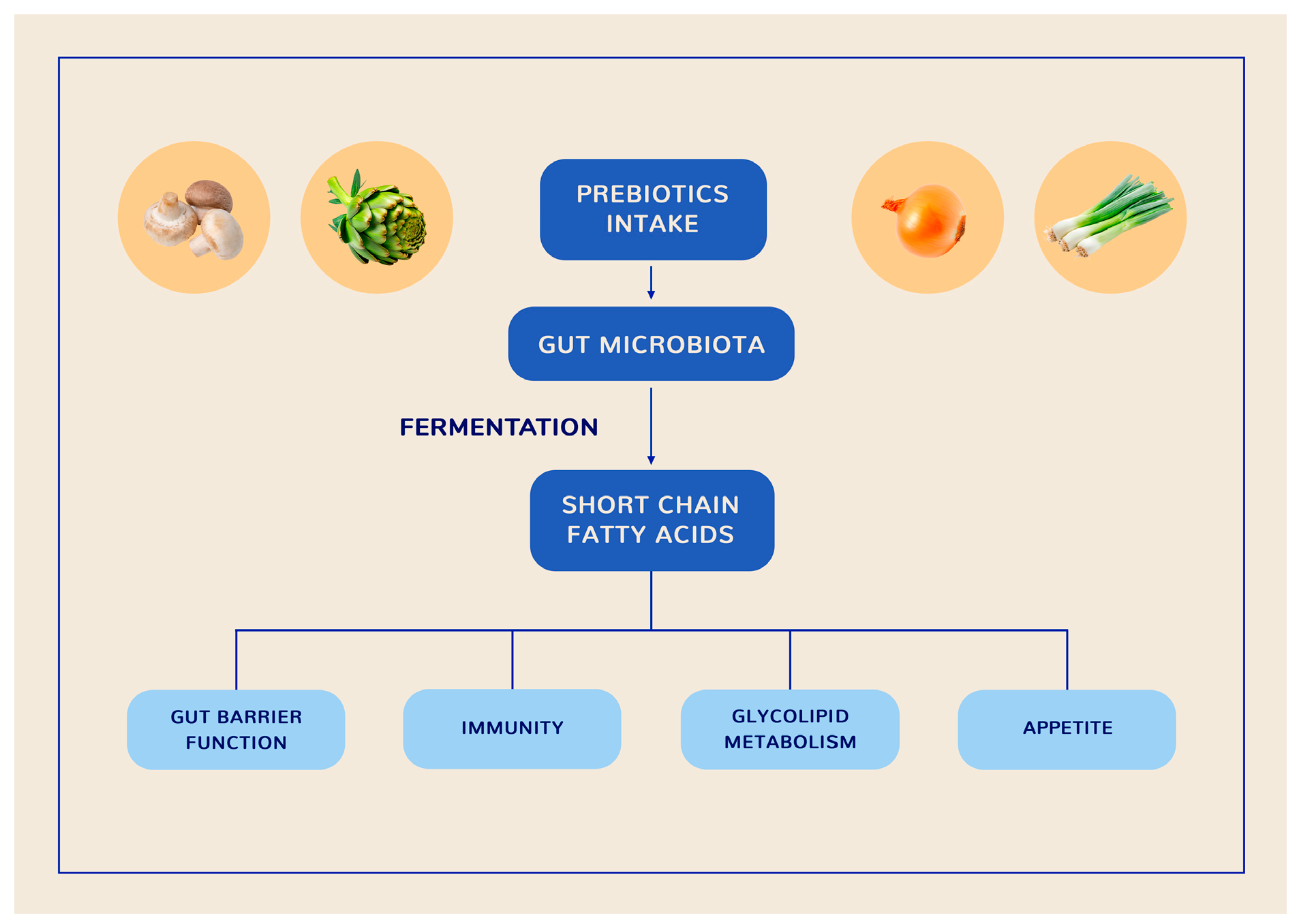Natural Bioactive Compounds in the Management of Type 2