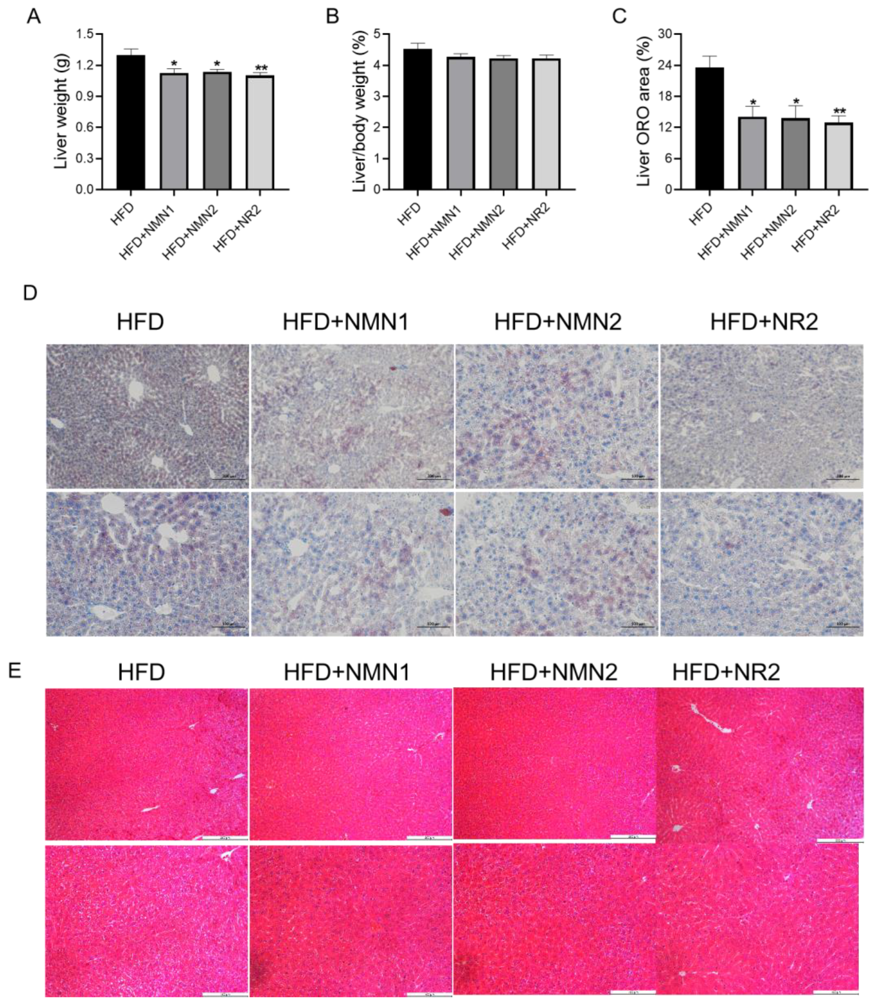 Pharmaceuticals 18 00281 g002