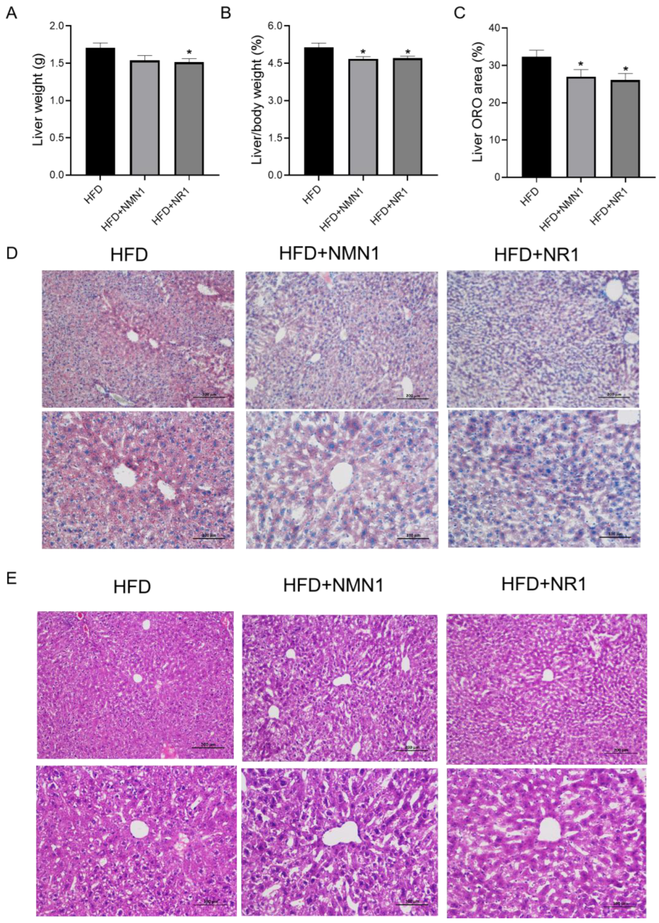 Pharmaceuticals 18 00281 g004