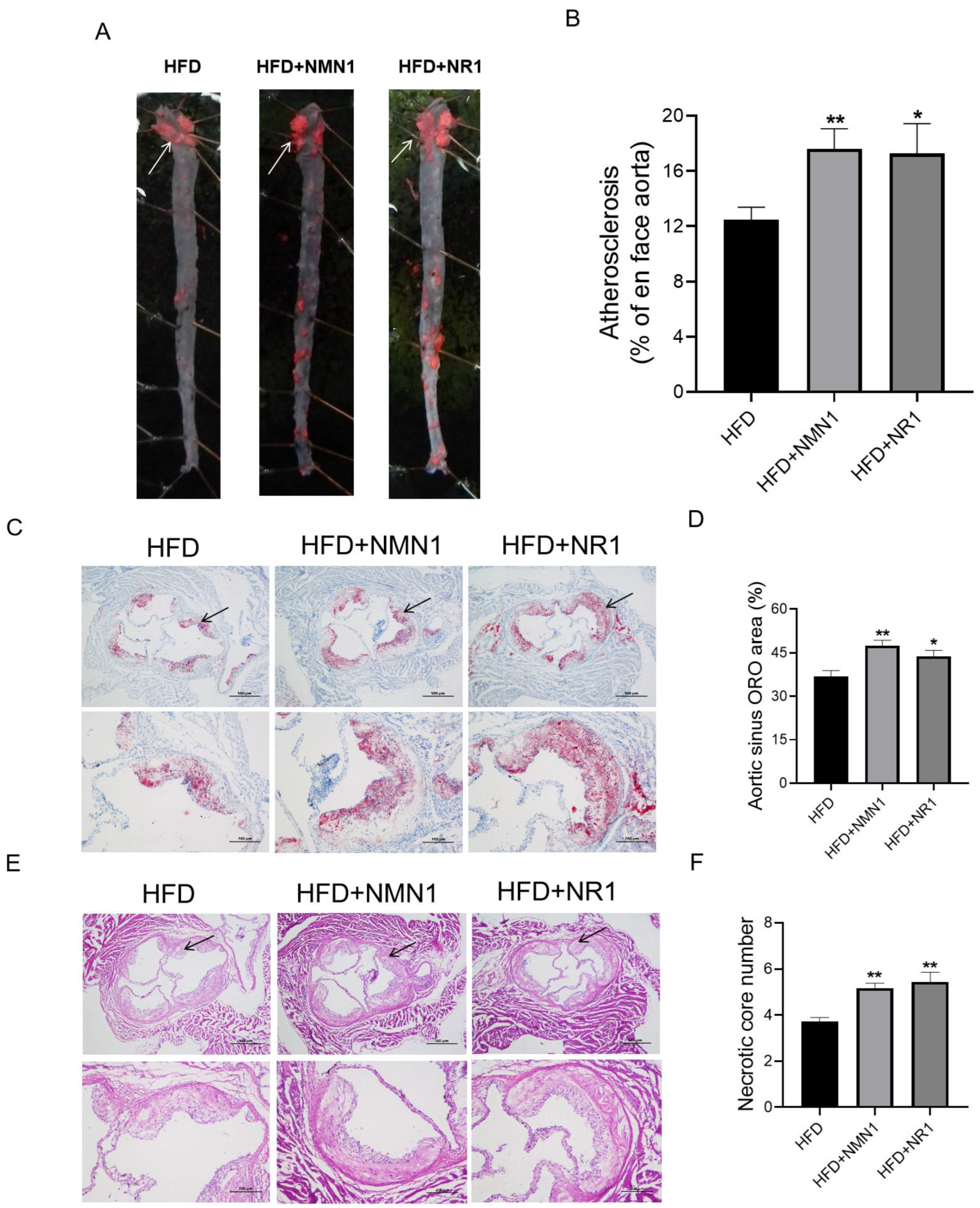 Pharmaceuticals 18 00281 g005
