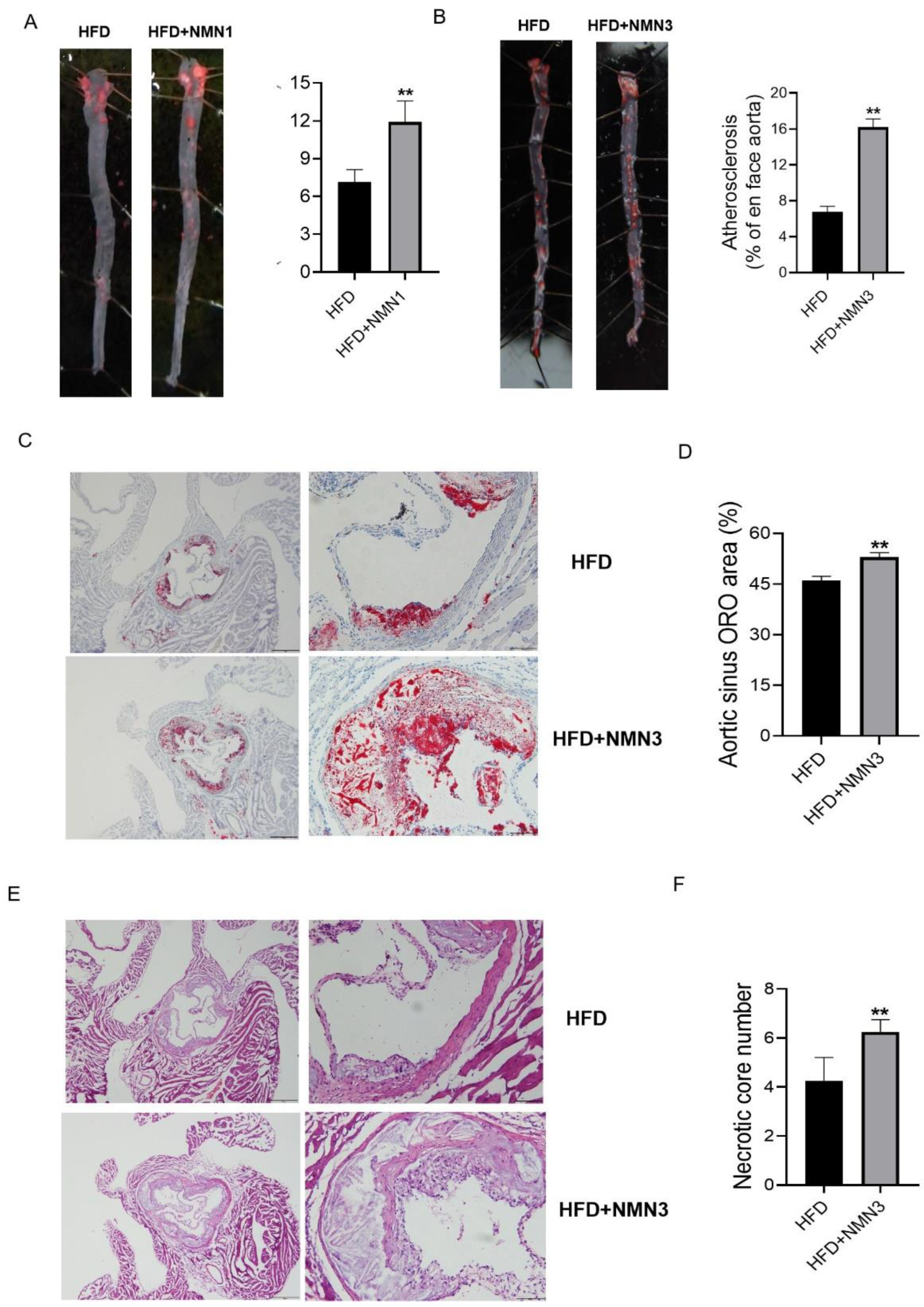 Pharmaceuticals 18 00281 g008