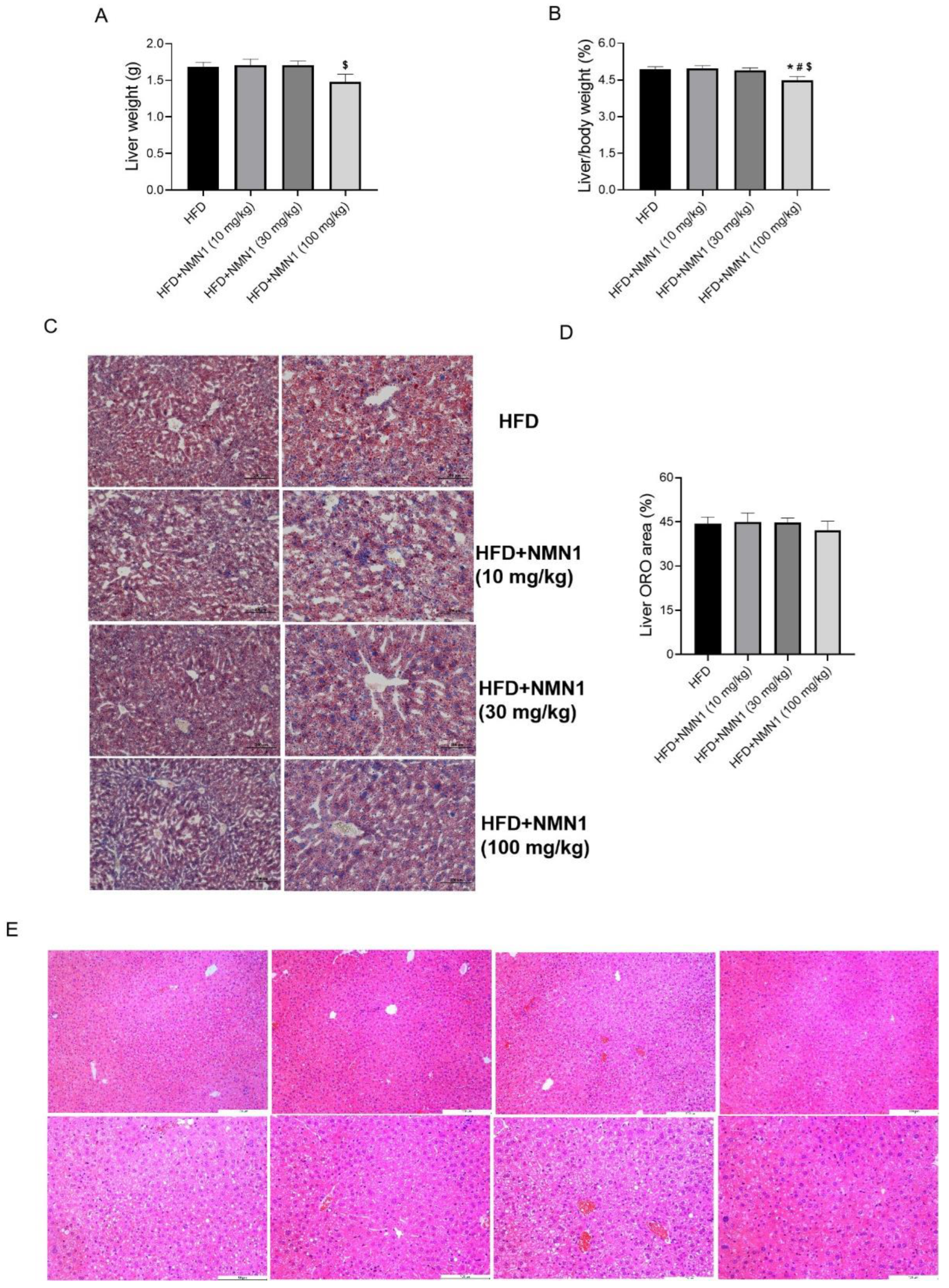 Pharmaceuticals 18 00281 g010