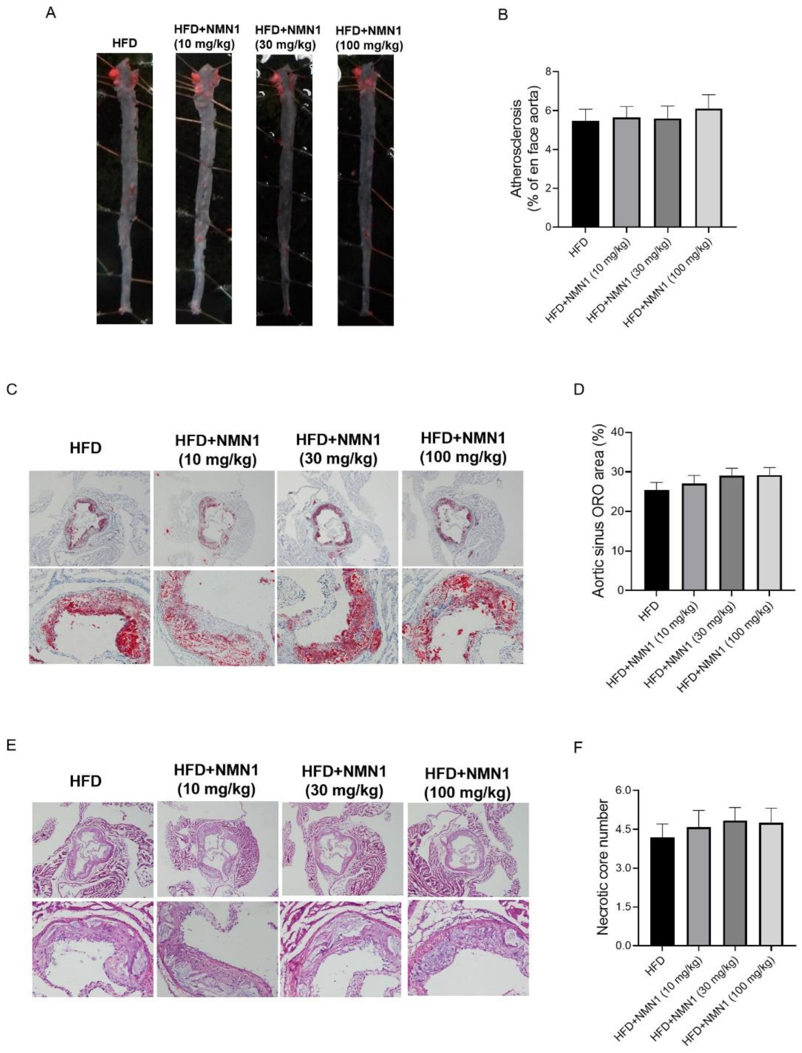 Pharmaceuticals 18 00281 g011
