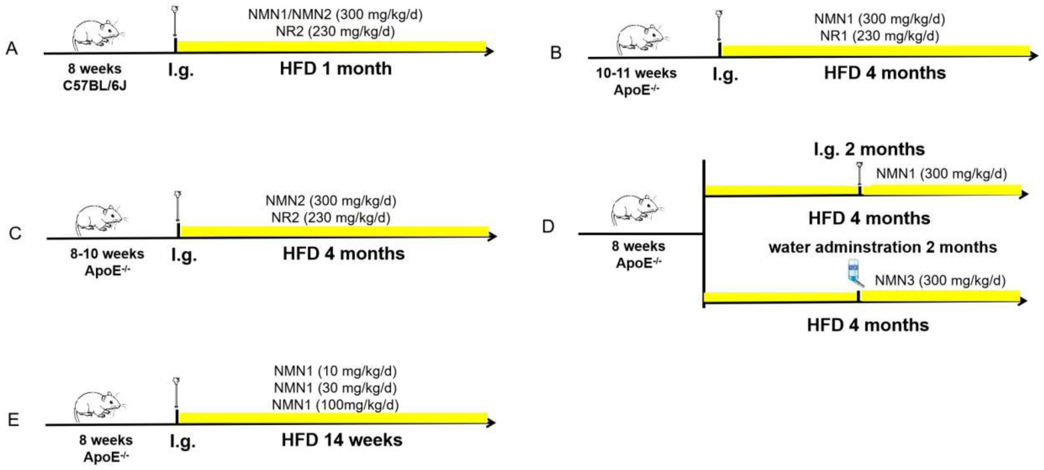 Pharmaceuticals 18 00281 g012