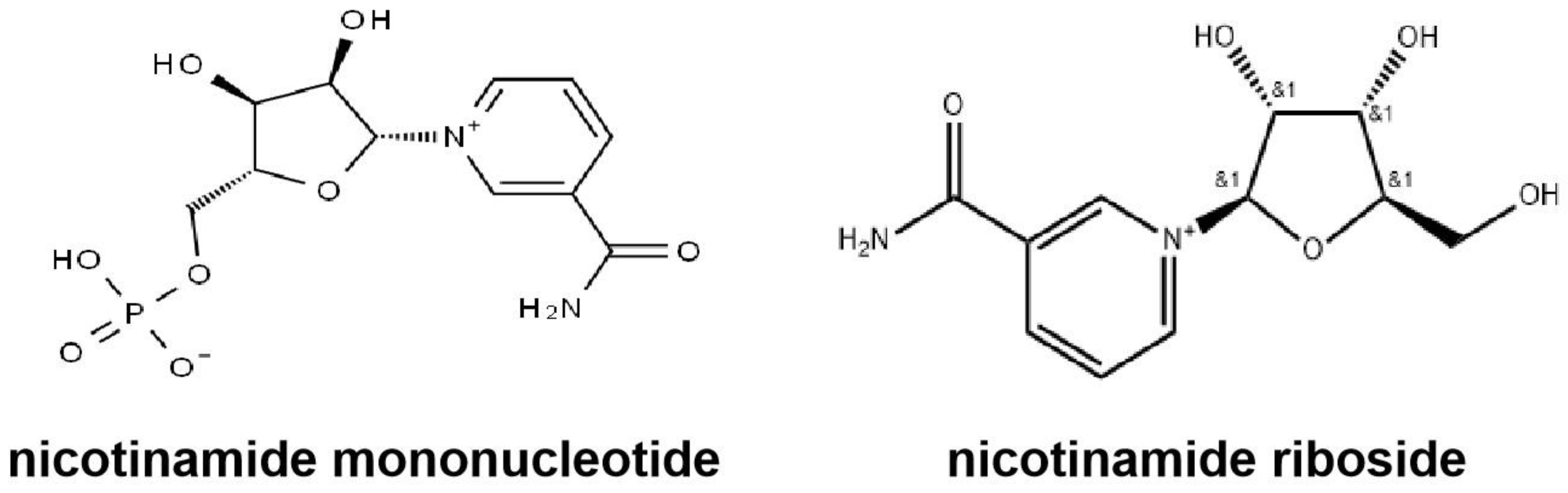 Pharmaceuticals 18 00281 g013