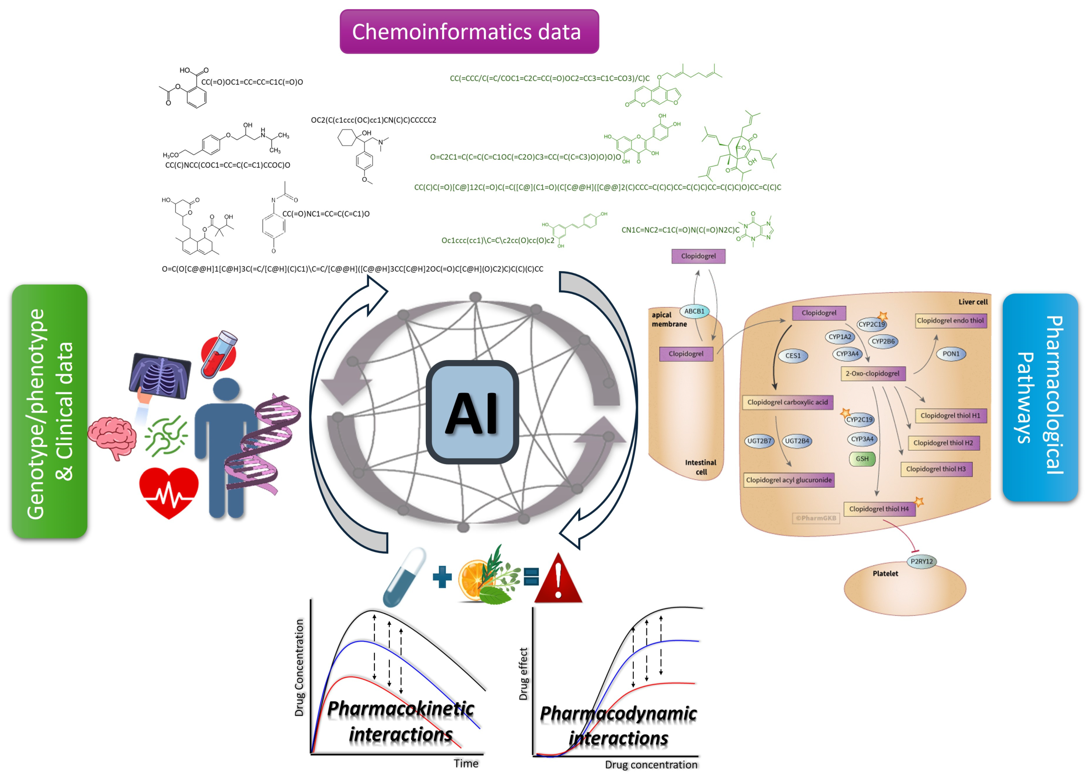 Pharmaceuticals 18 00282 g001 Pharmaceuticals 18 00282 g001