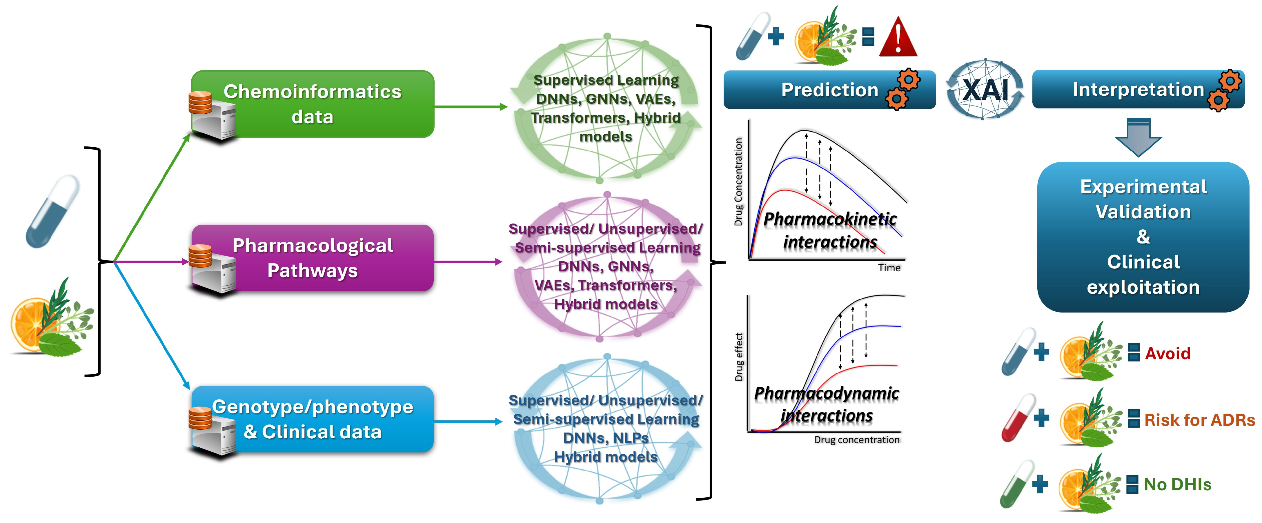 Pharmaceuticals 18 00282 g005 Pharmaceuticals 18 00282 g005