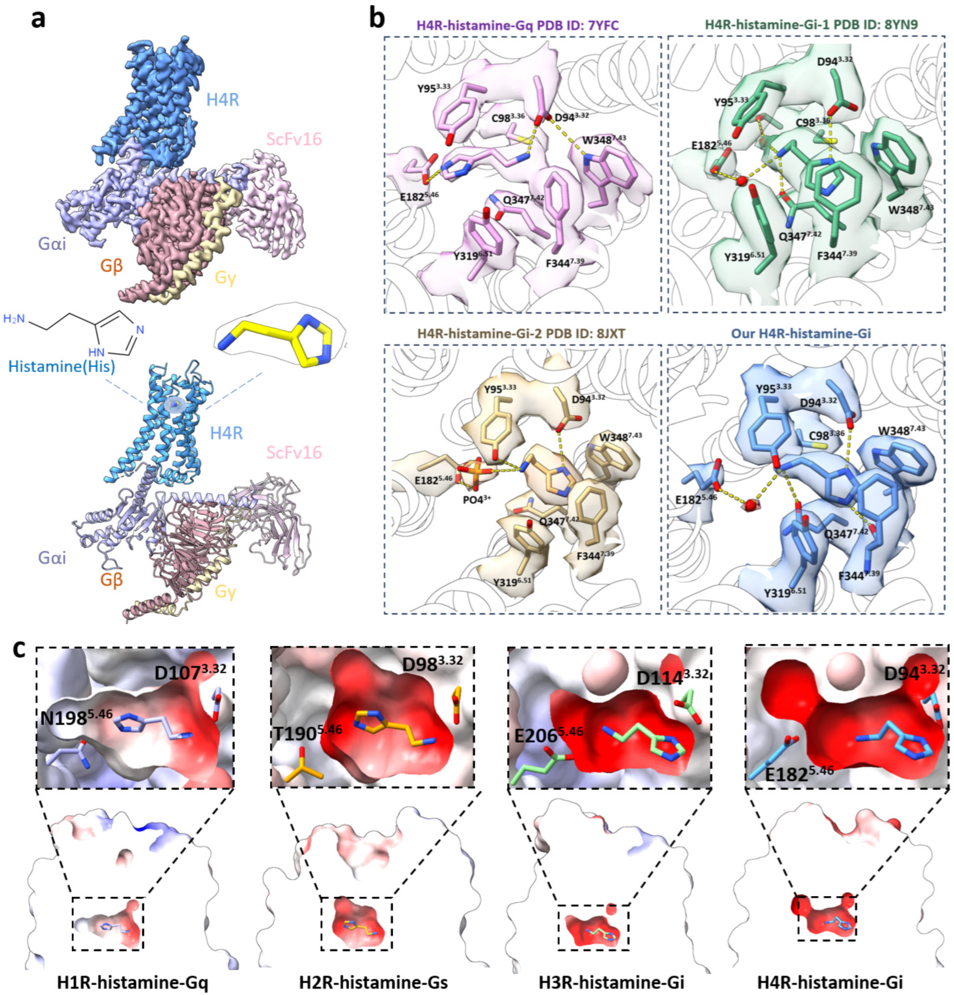 Pharmaceuticals 18 00292 g001