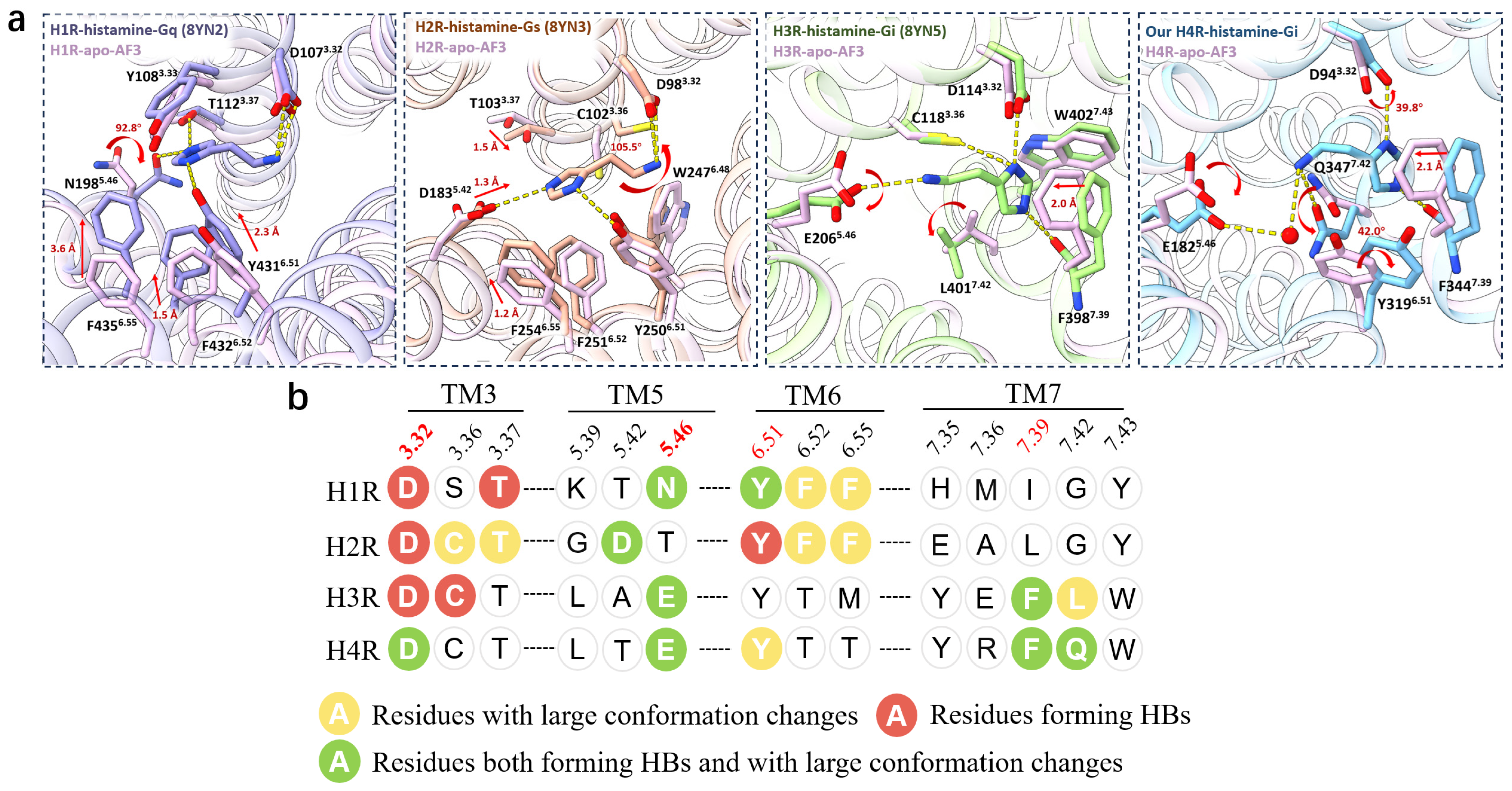 Pharmaceuticals 18 00292 g003