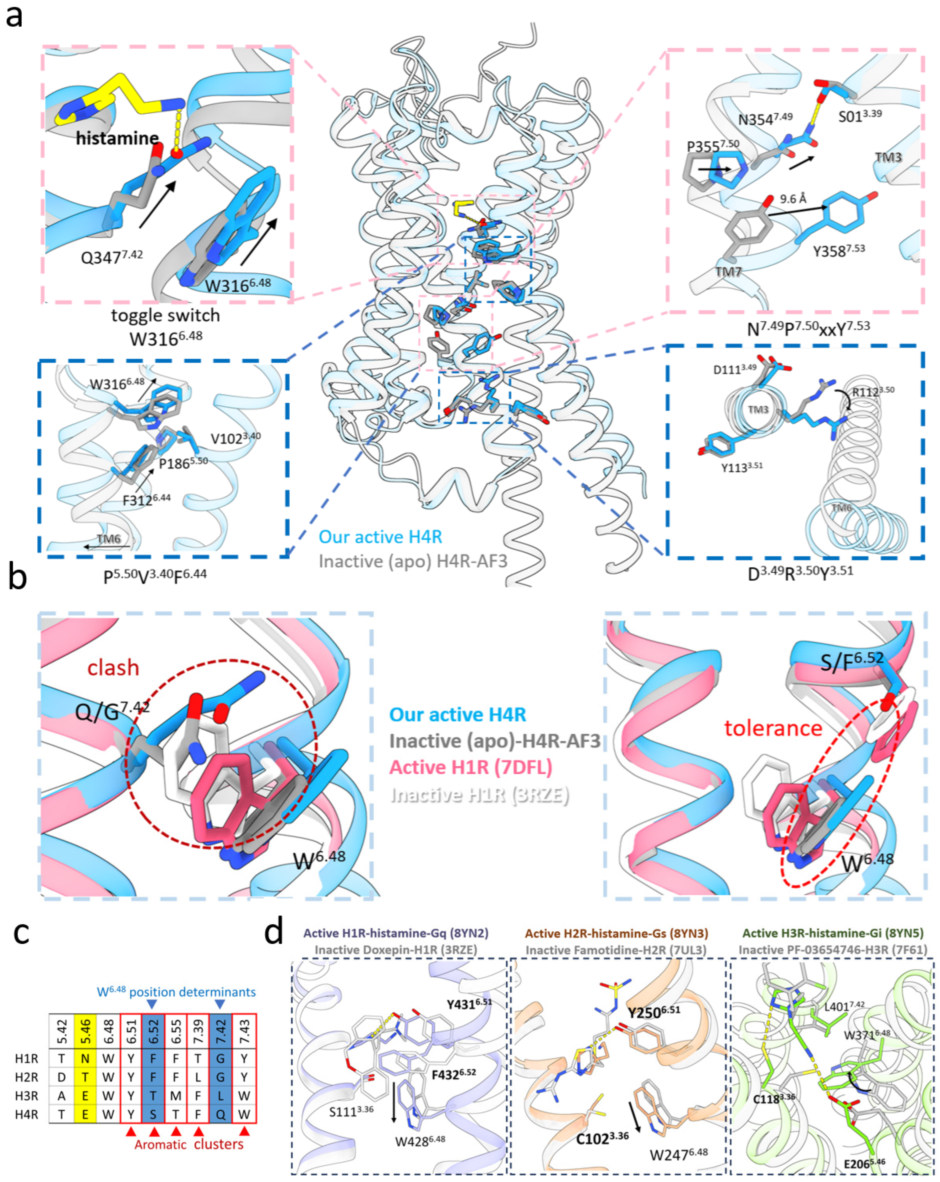 Pharmaceuticals 18 00292 g004