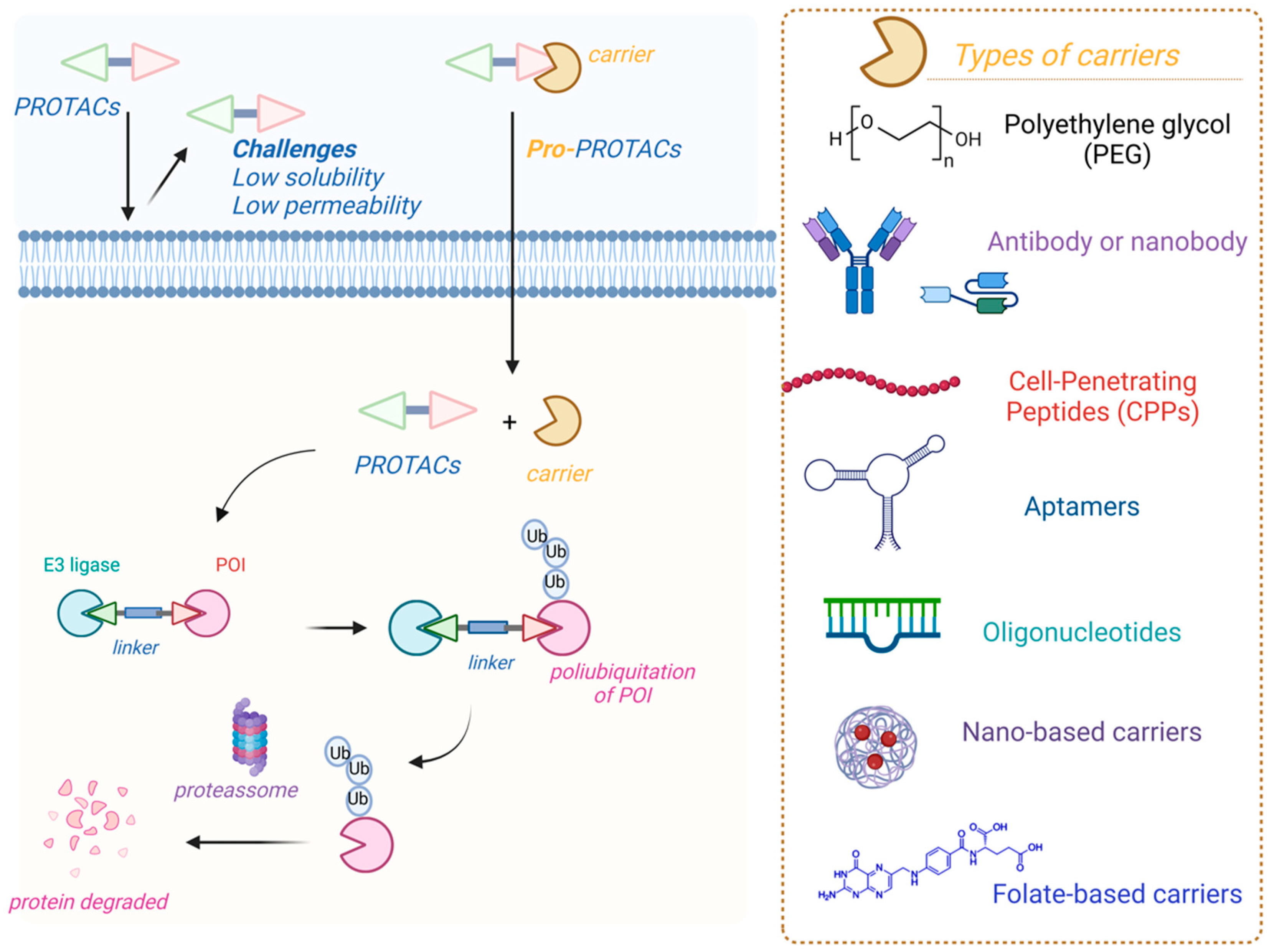 Pharmaceuticals 18 00297 g005