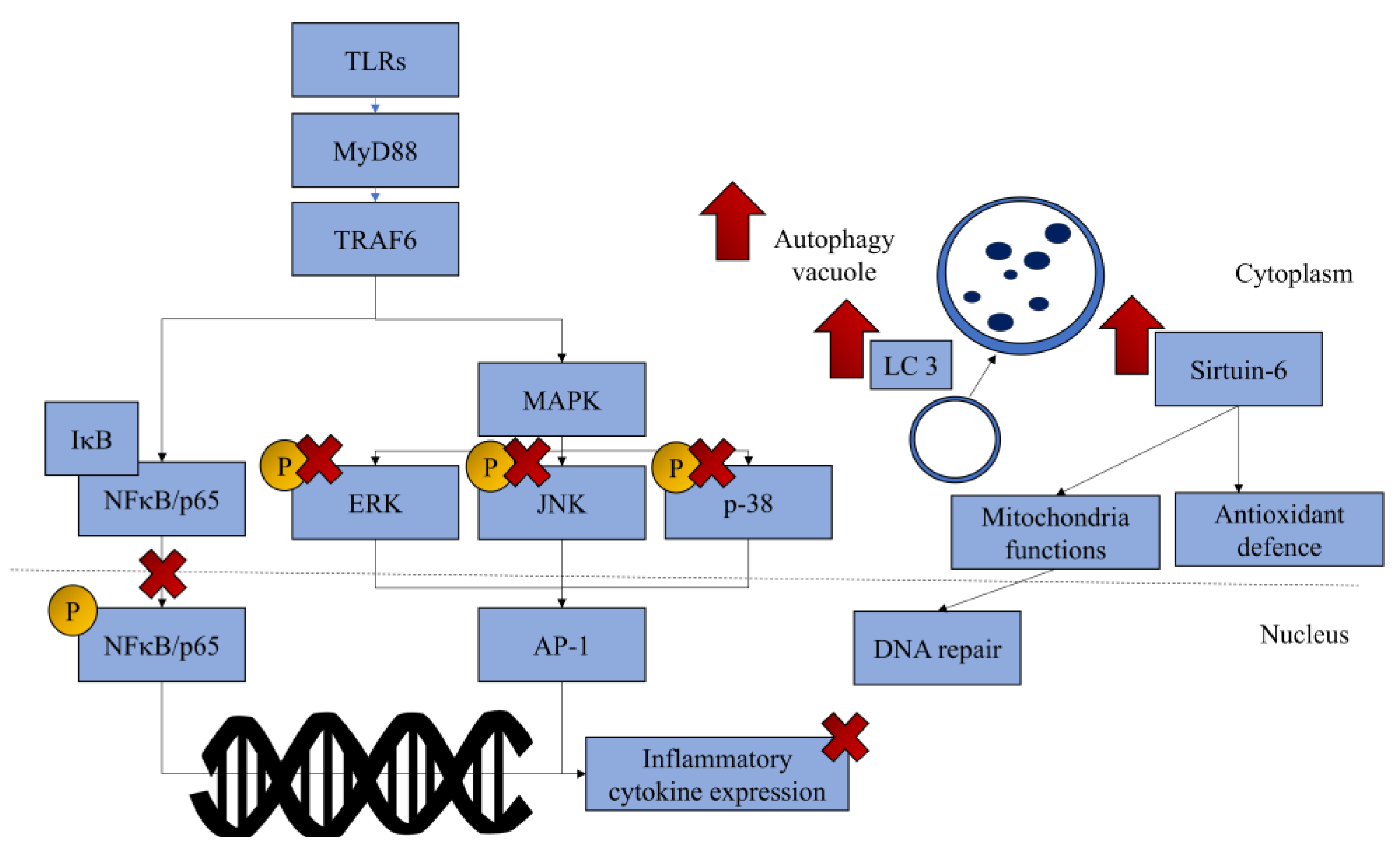 Pharmaceuticals 18 00301 g003