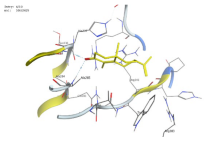 Pharmaceuticals 18 00303 i002