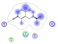 Pharmaceuticals 18 00303 i010
