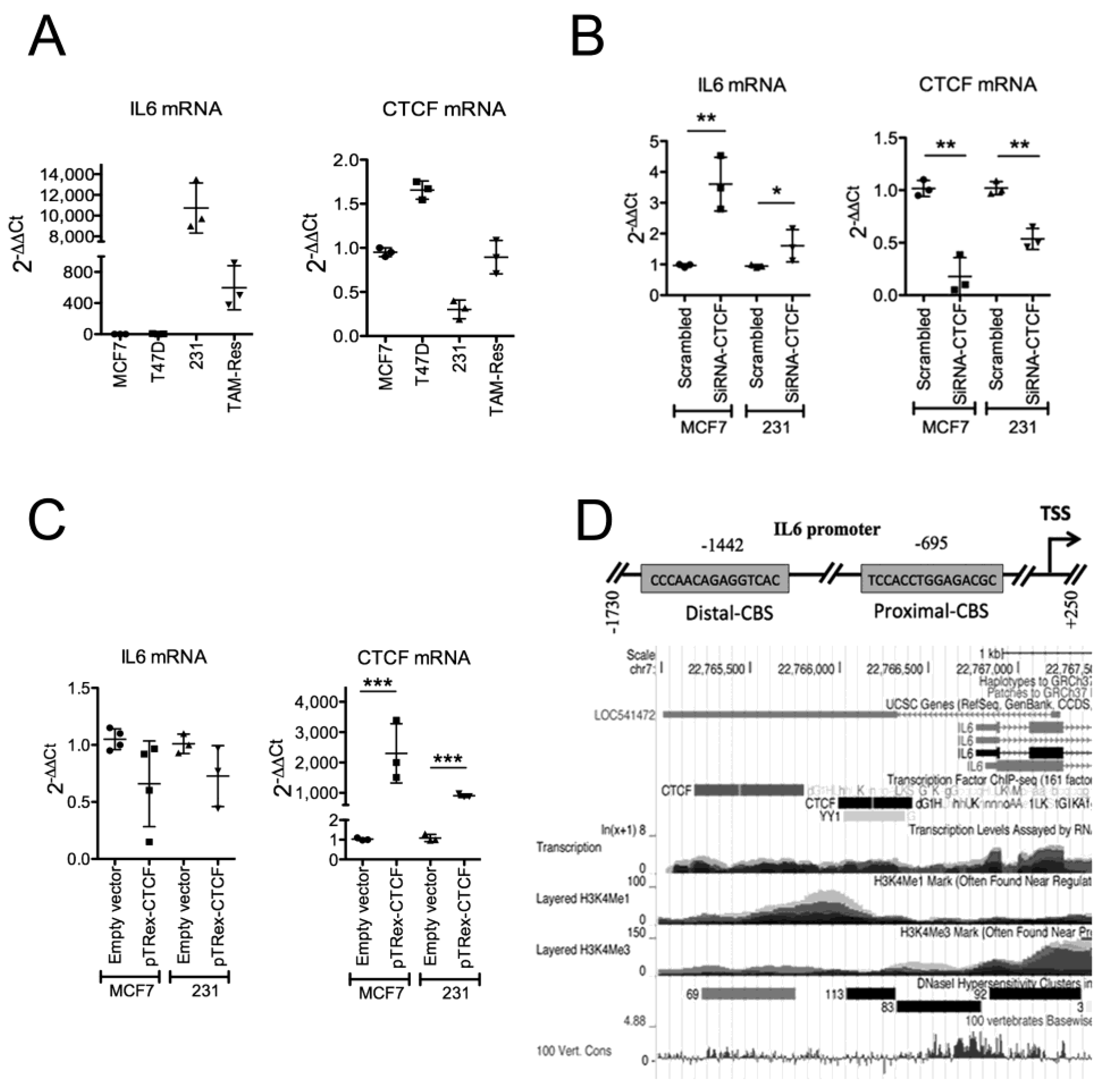 Pharmaceuticals 18 00305 g001 Pharmaceuticals 18 00305 g001