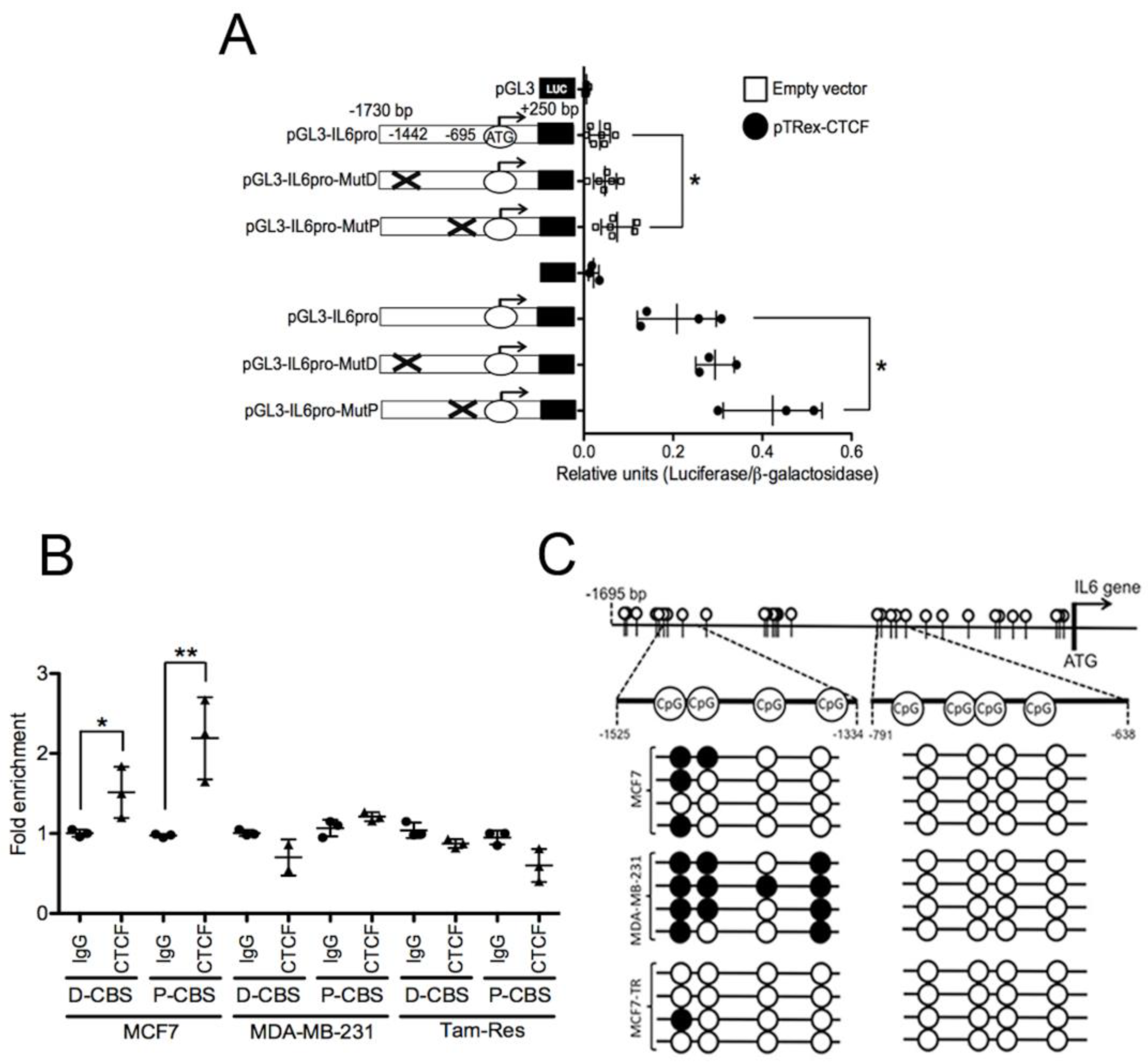 Pharmaceuticals 18 00305 g002 Pharmaceuticals 18 00305 g002