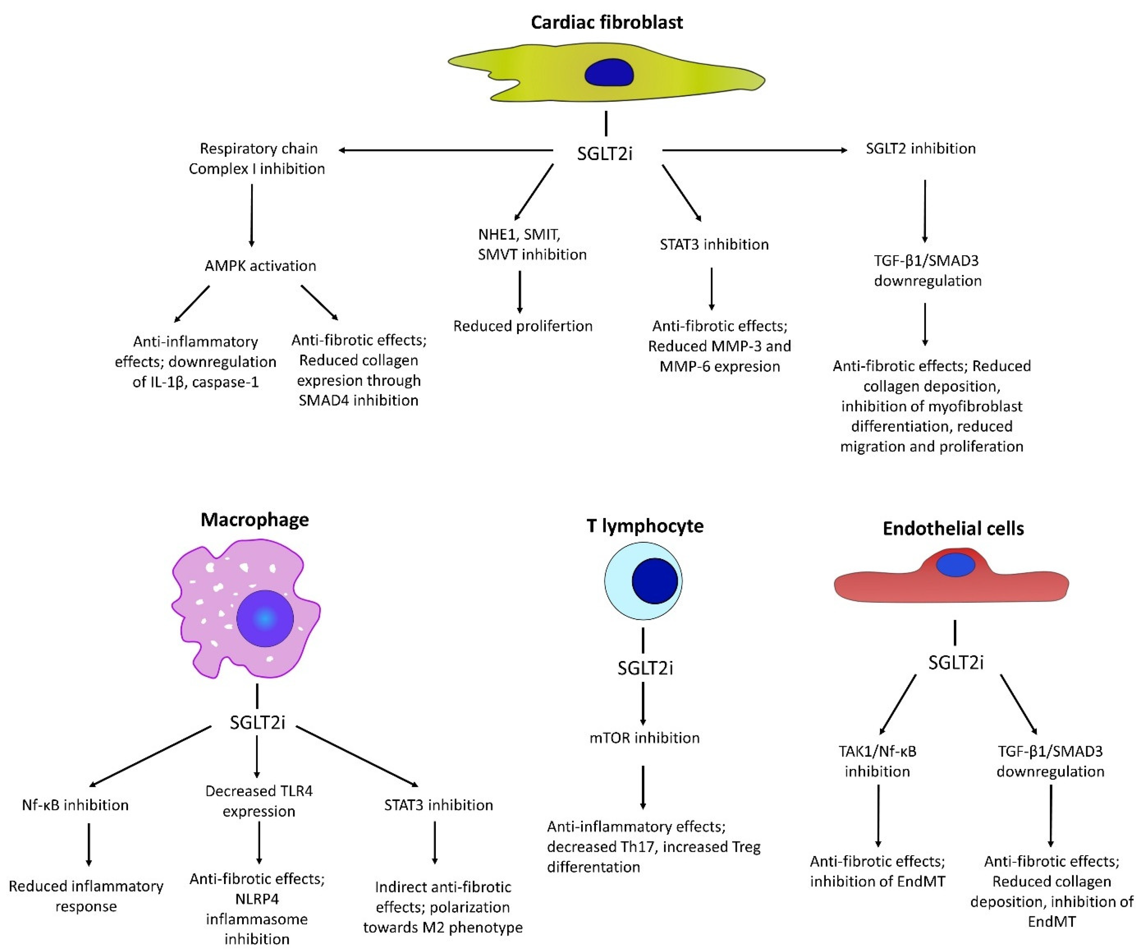 Pharmaceuticals 18 00313 g002