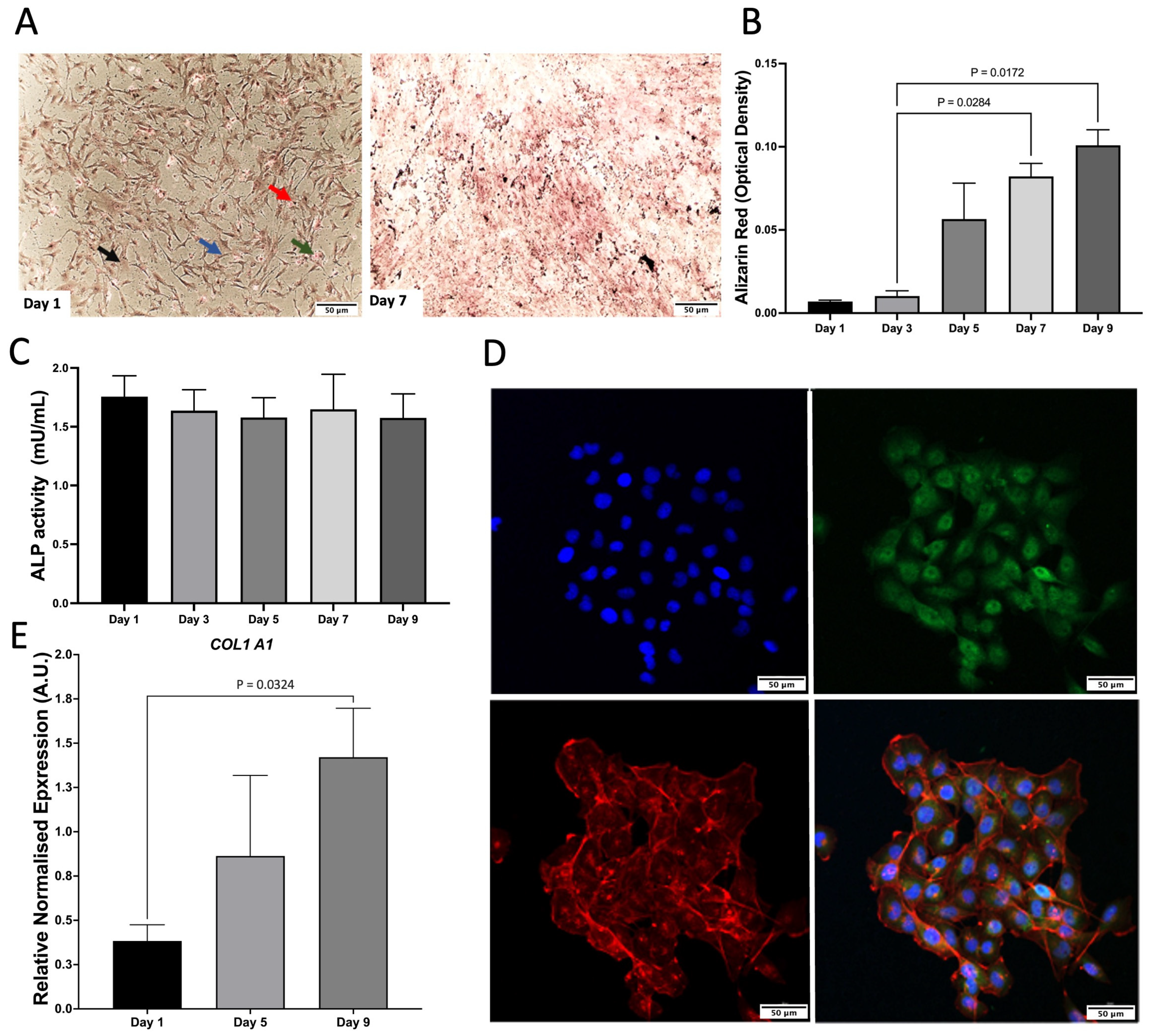 Pharmaceuticals 18 00315 g001