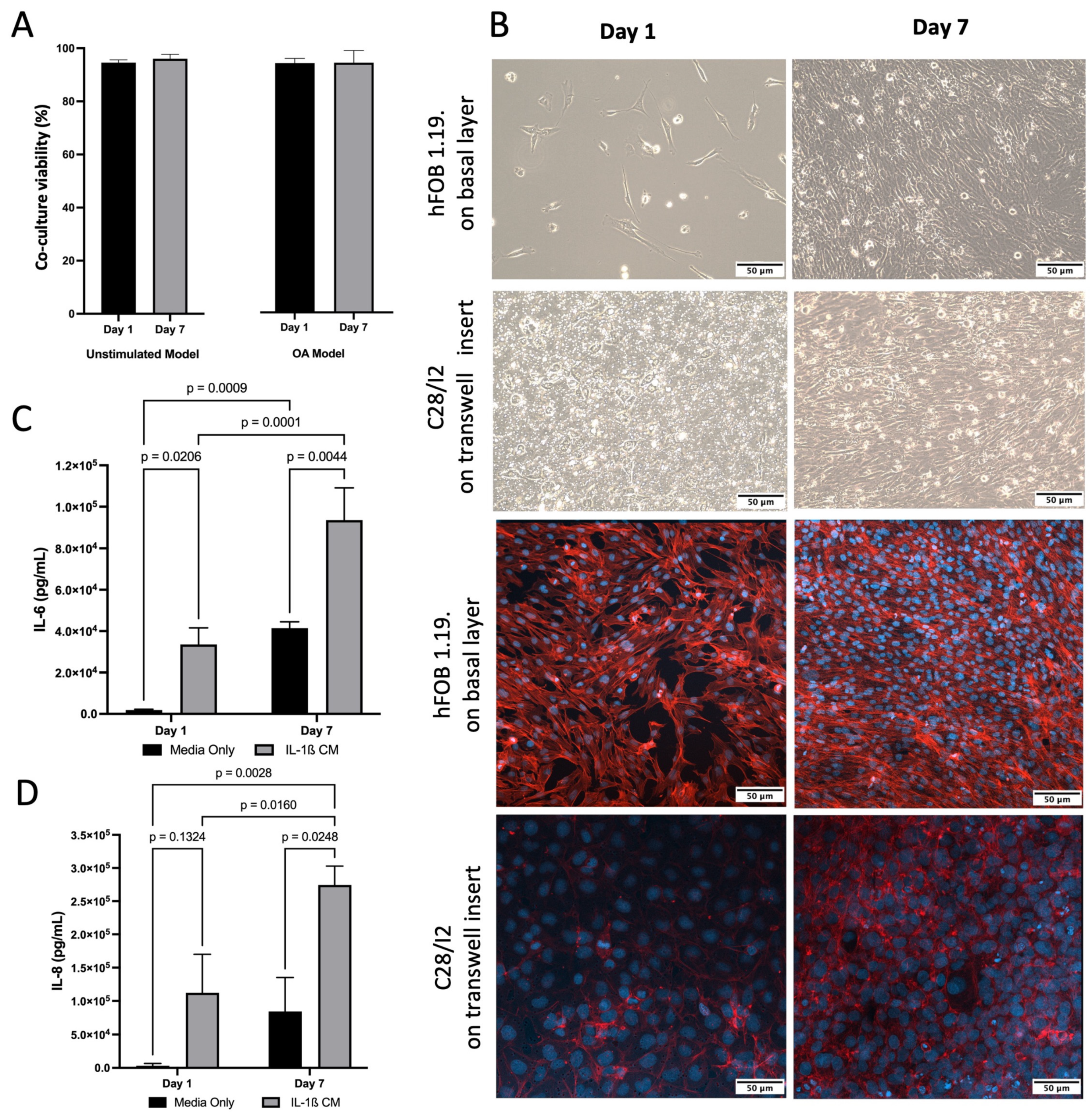 Pharmaceuticals 18 00315 g002