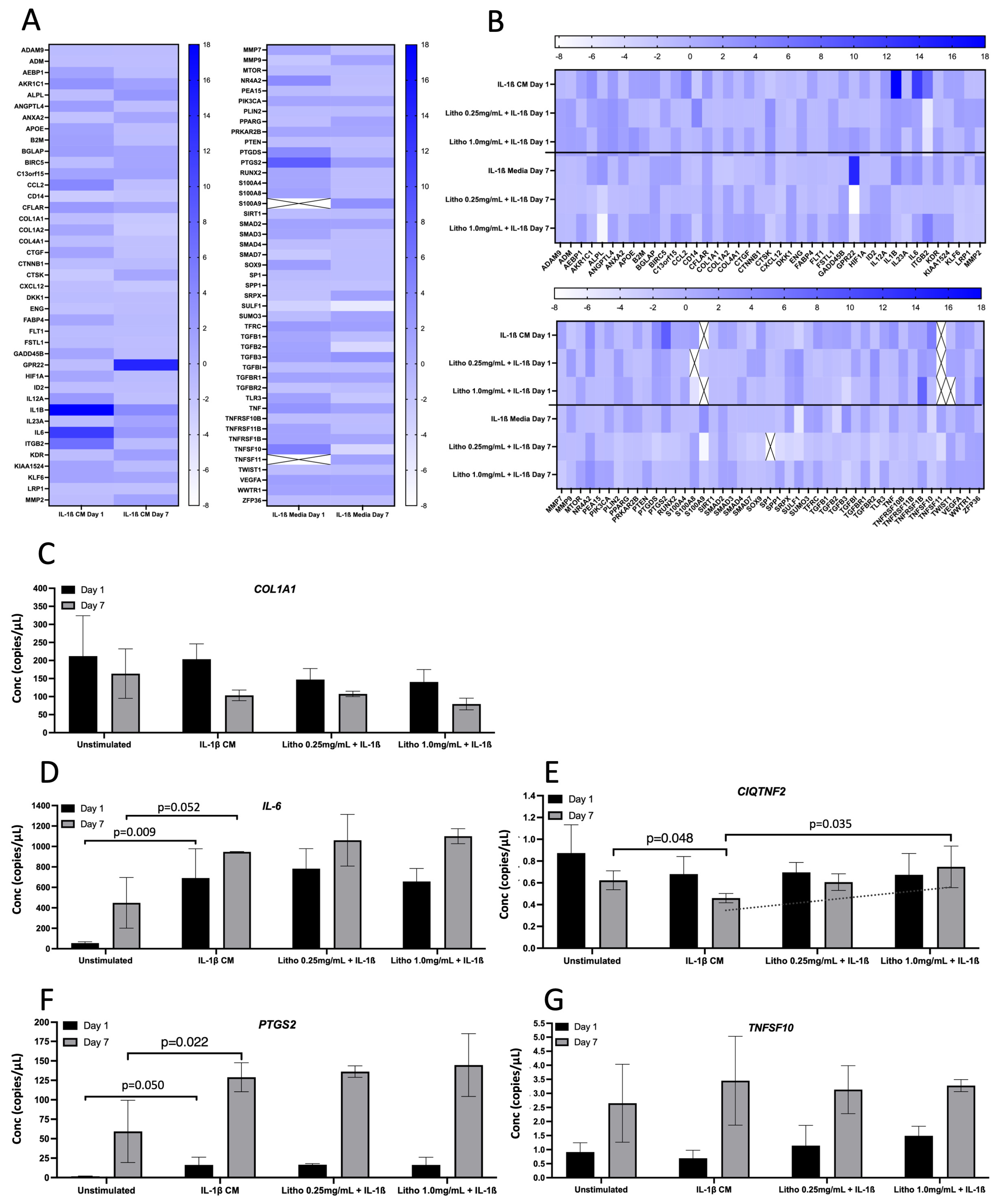 Pharmaceuticals 18 00315 g004