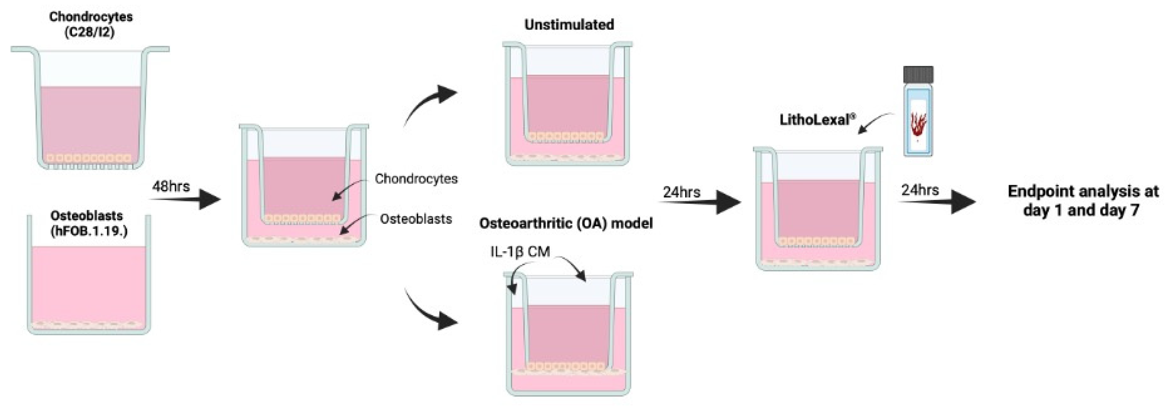 Pharmaceuticals 18 00315 g005