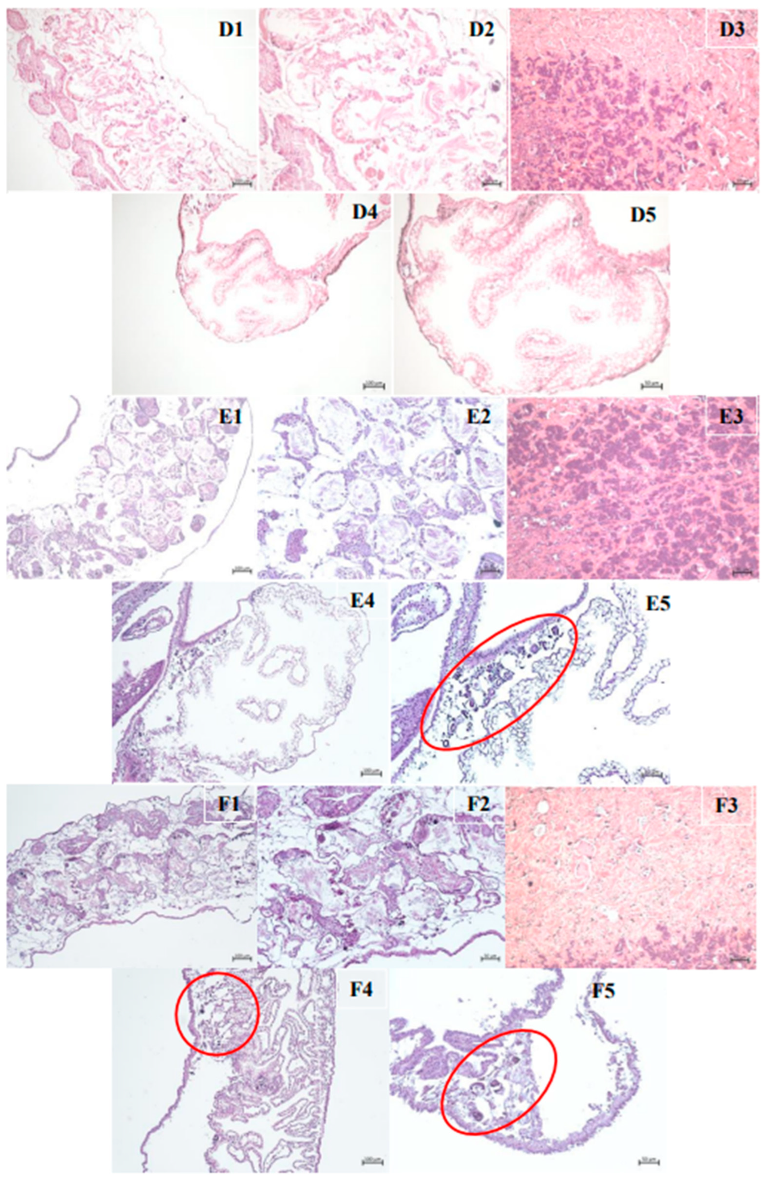 Pharmaceuticals 18 00318 g007 Pharmaceuticals 18 00318 g007