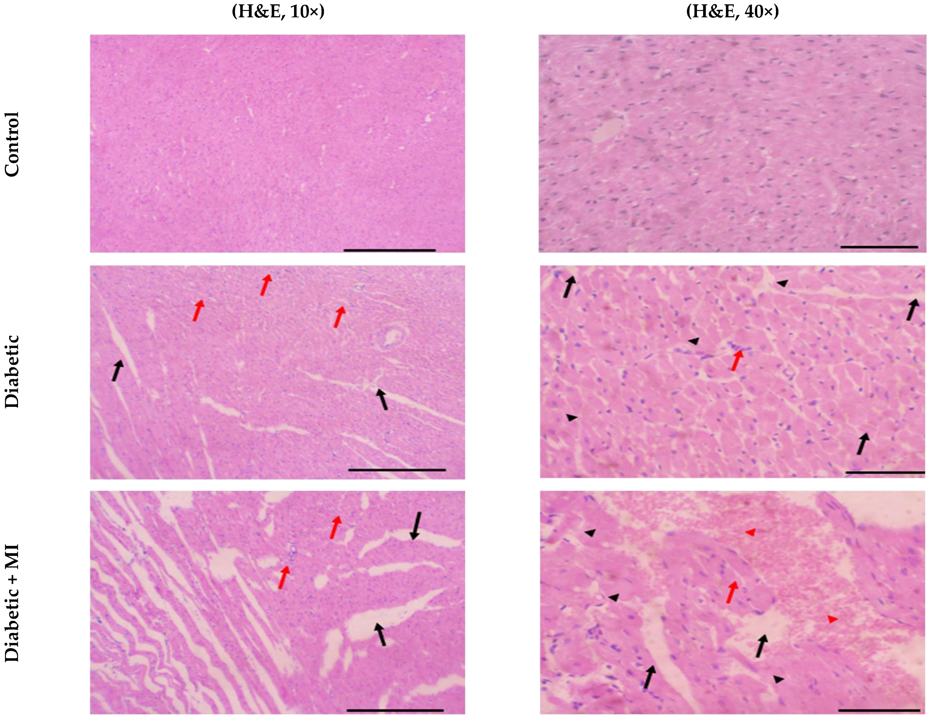 Pharmaceuticals 18 00319 g003a
