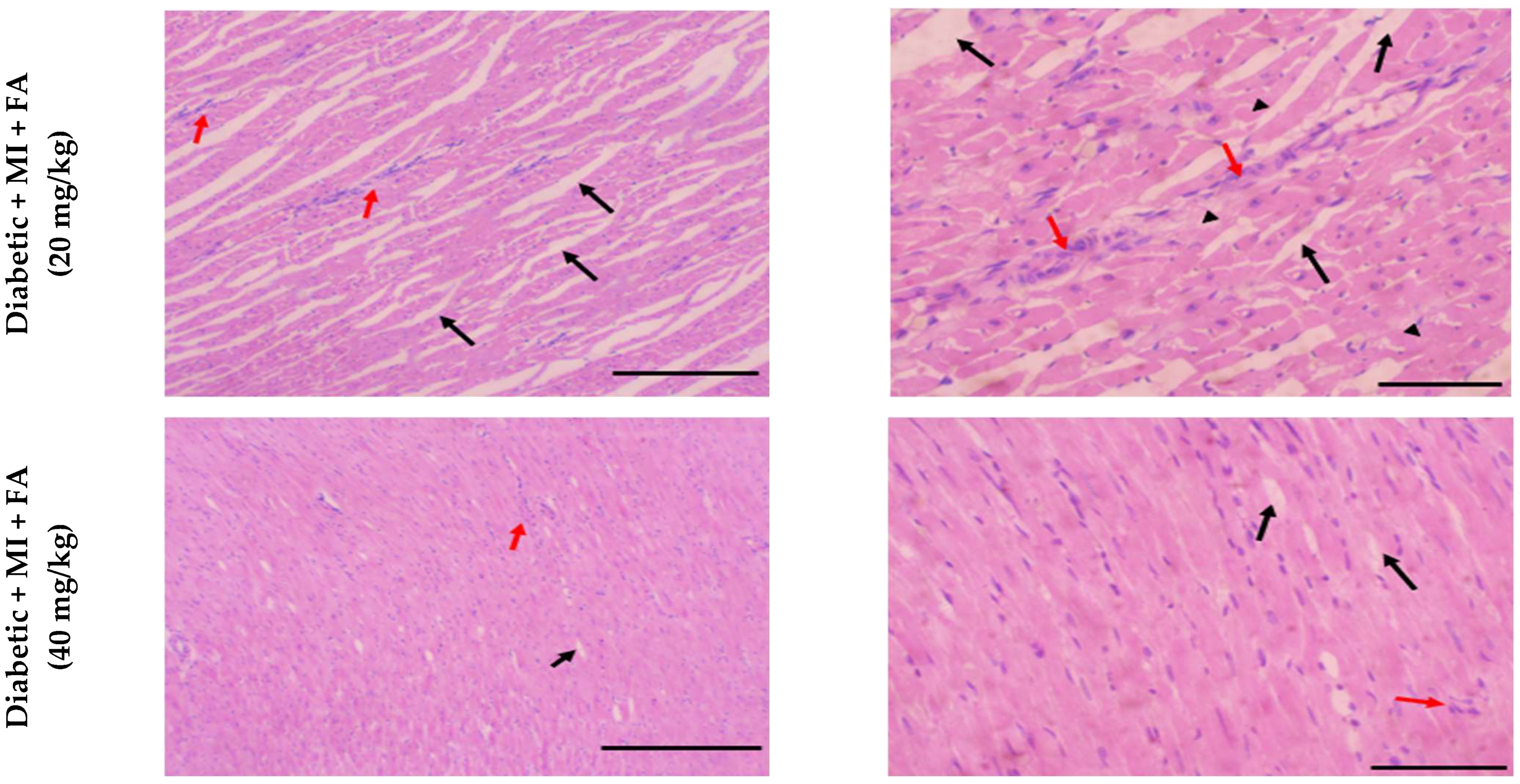Pharmaceuticals 18 00319 g003b