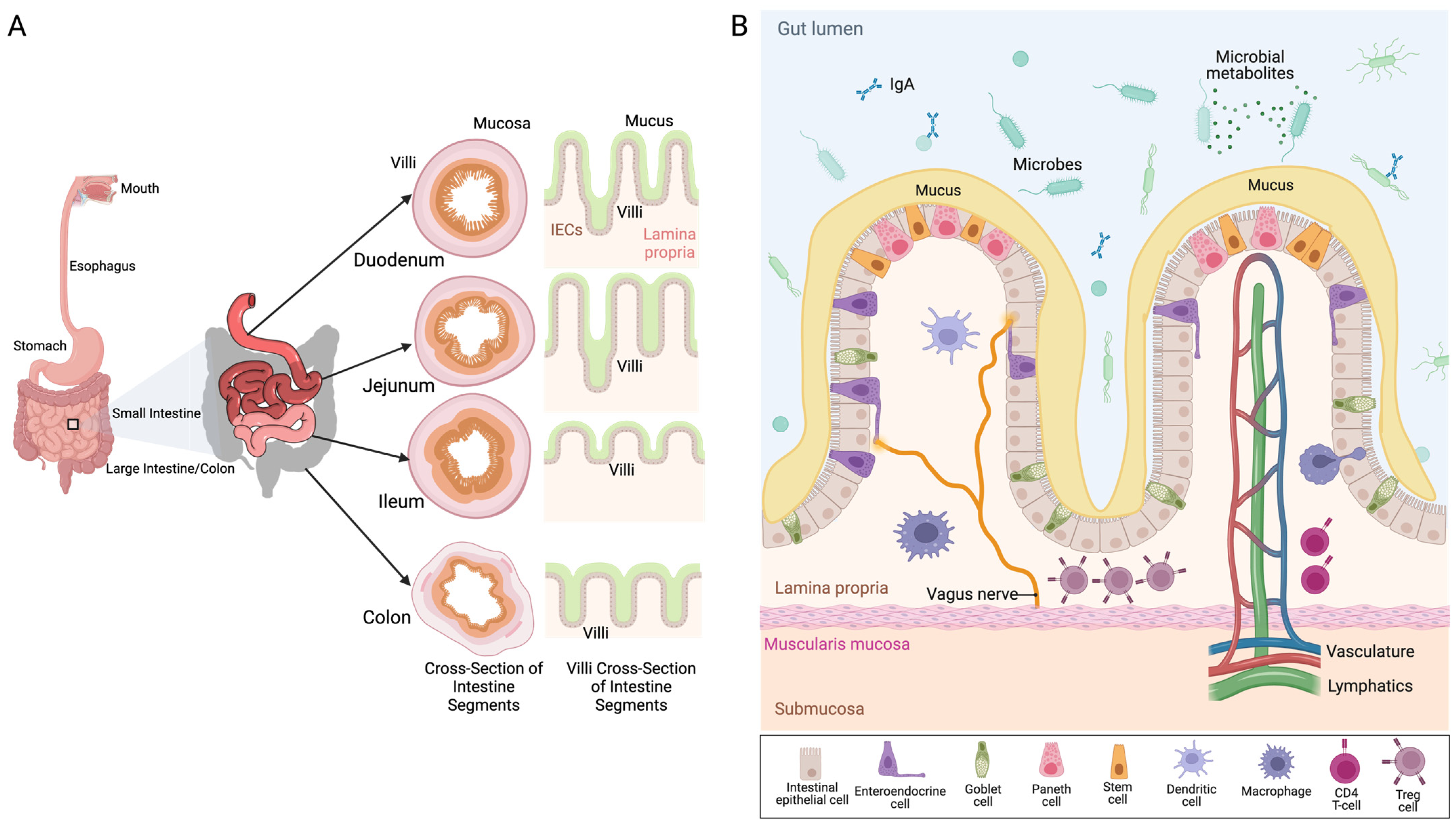 Pharmaceuticals 18 00320 g001
