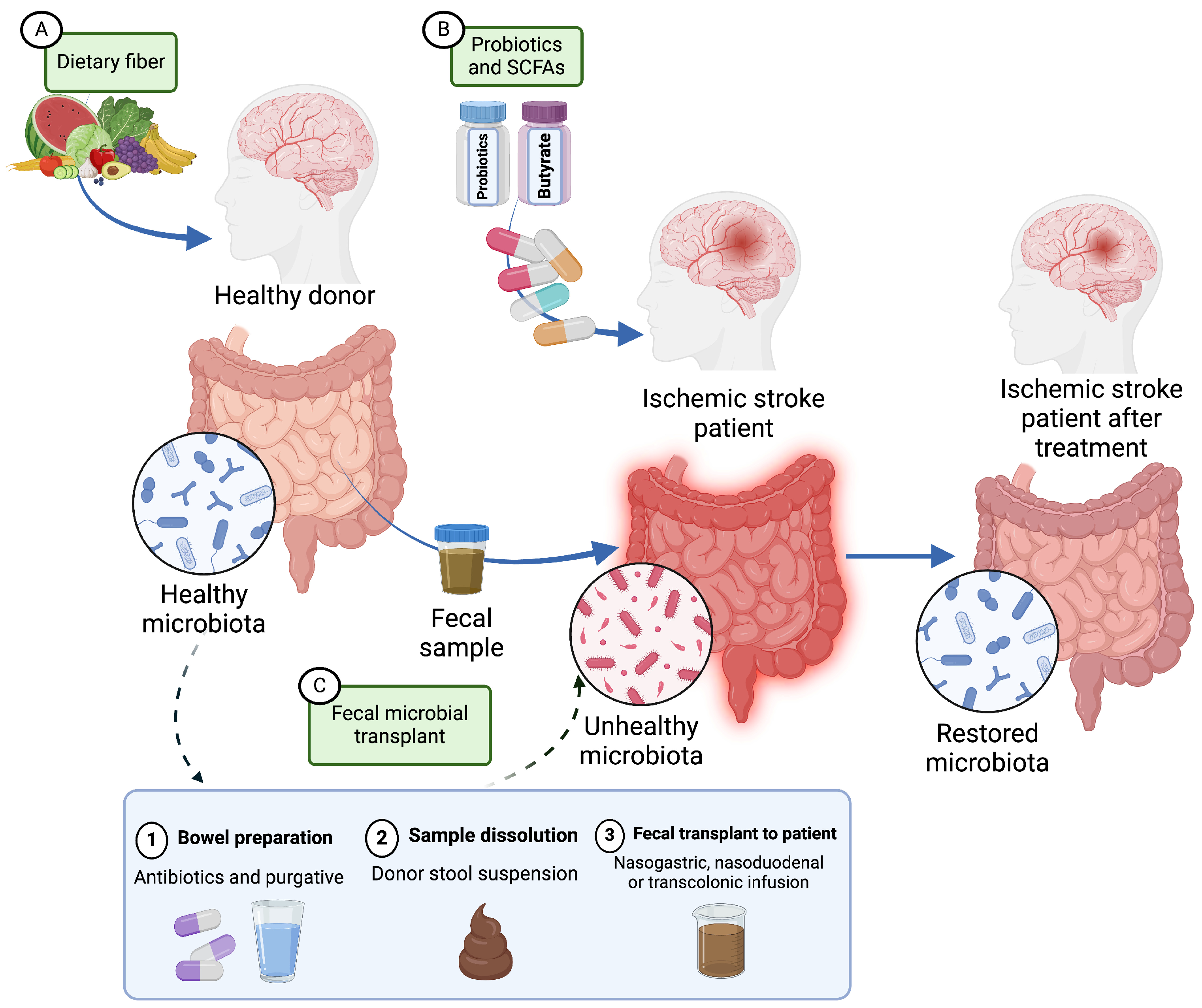 Pharmaceuticals 18 00320 g002