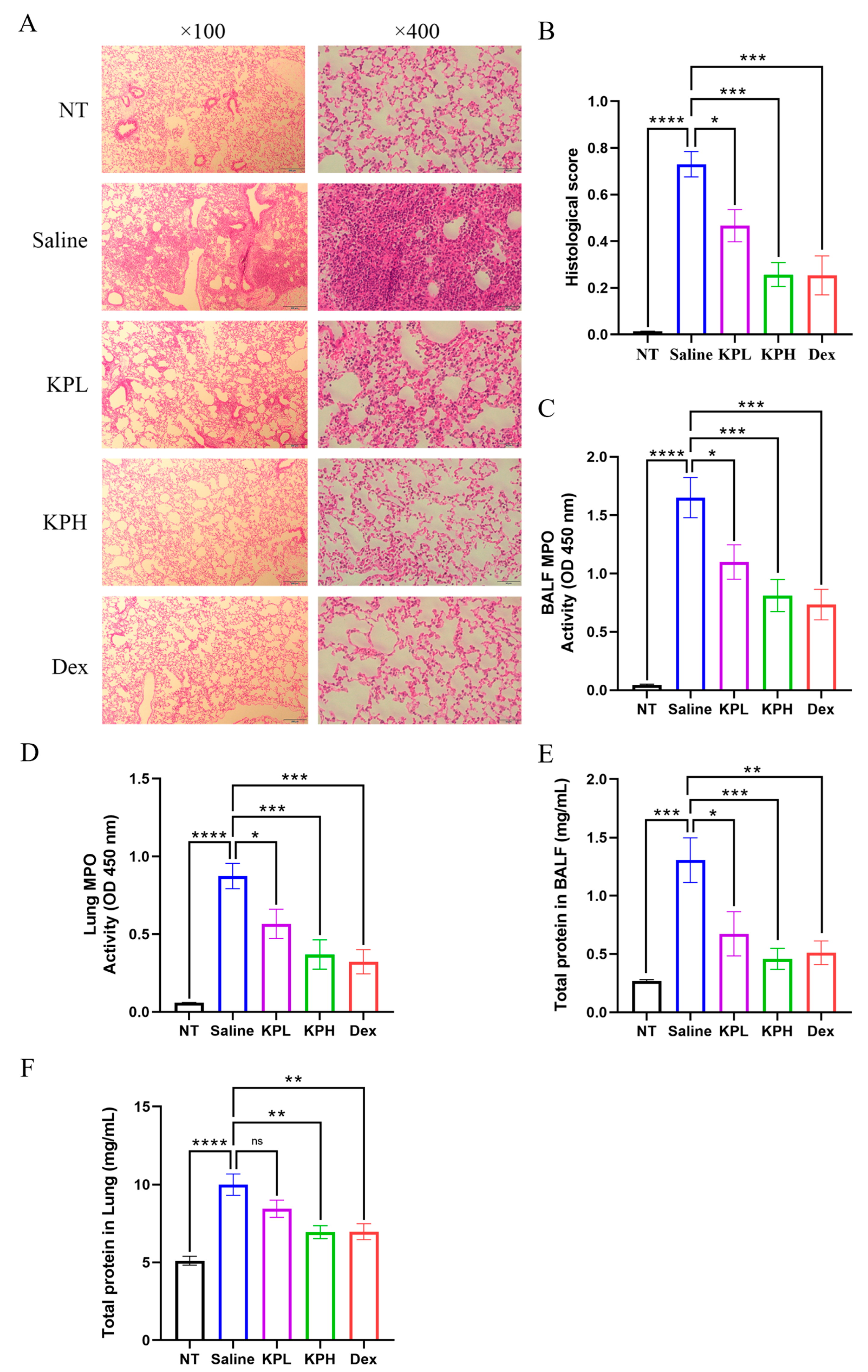 Pharmaceuticals 18 00322 g003