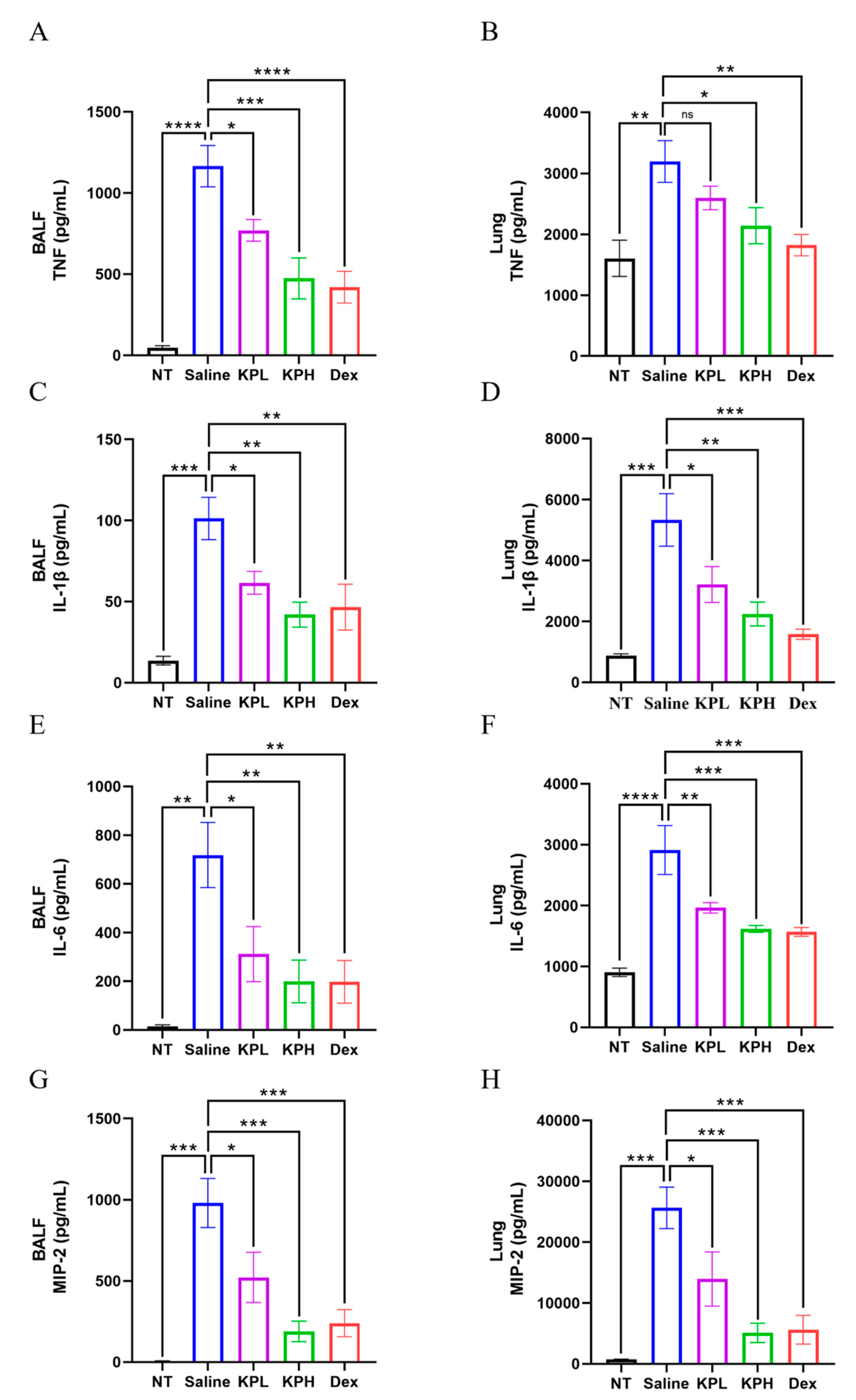 Pharmaceuticals 18 00322 g004