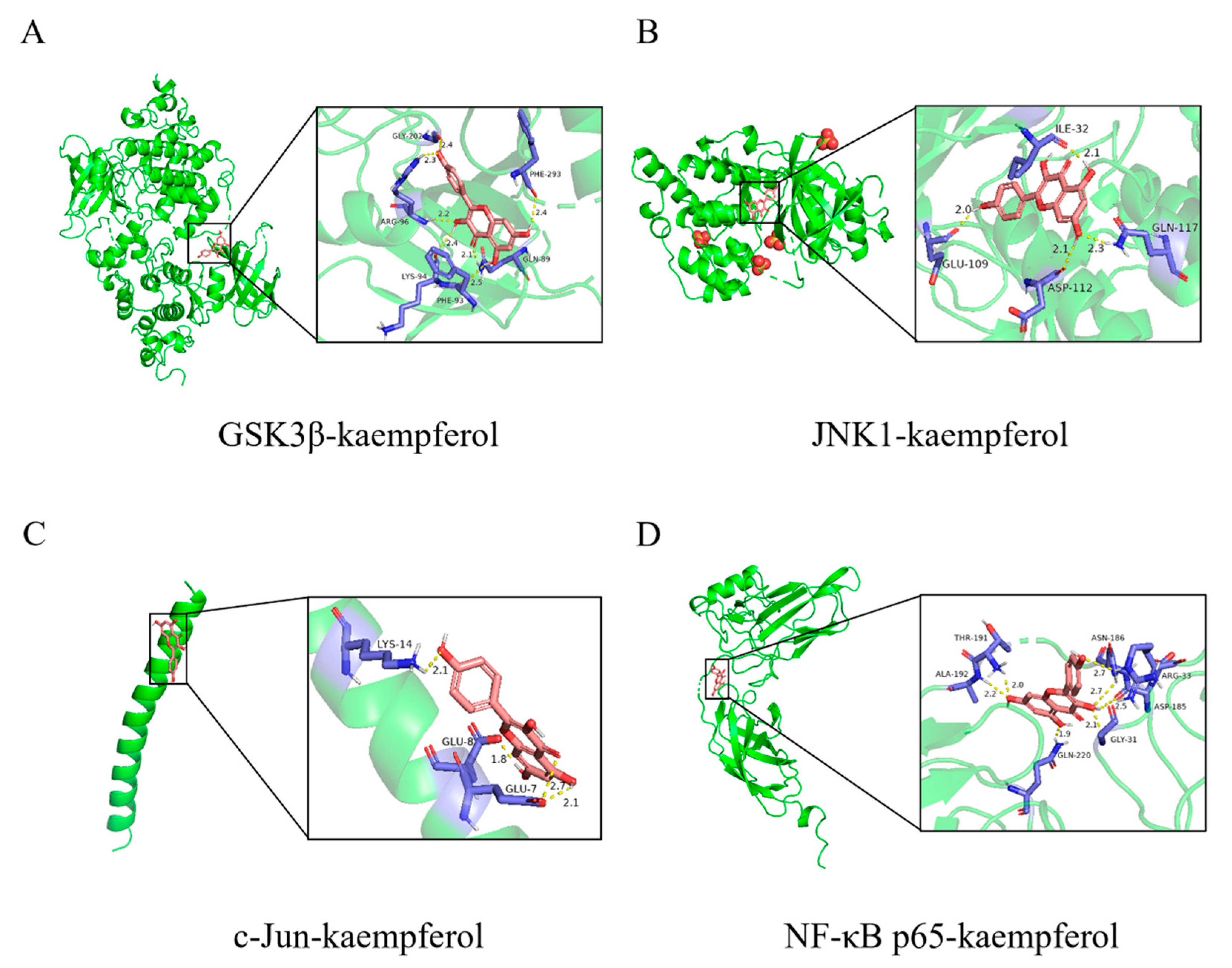 Pharmaceuticals 18 00322 g005