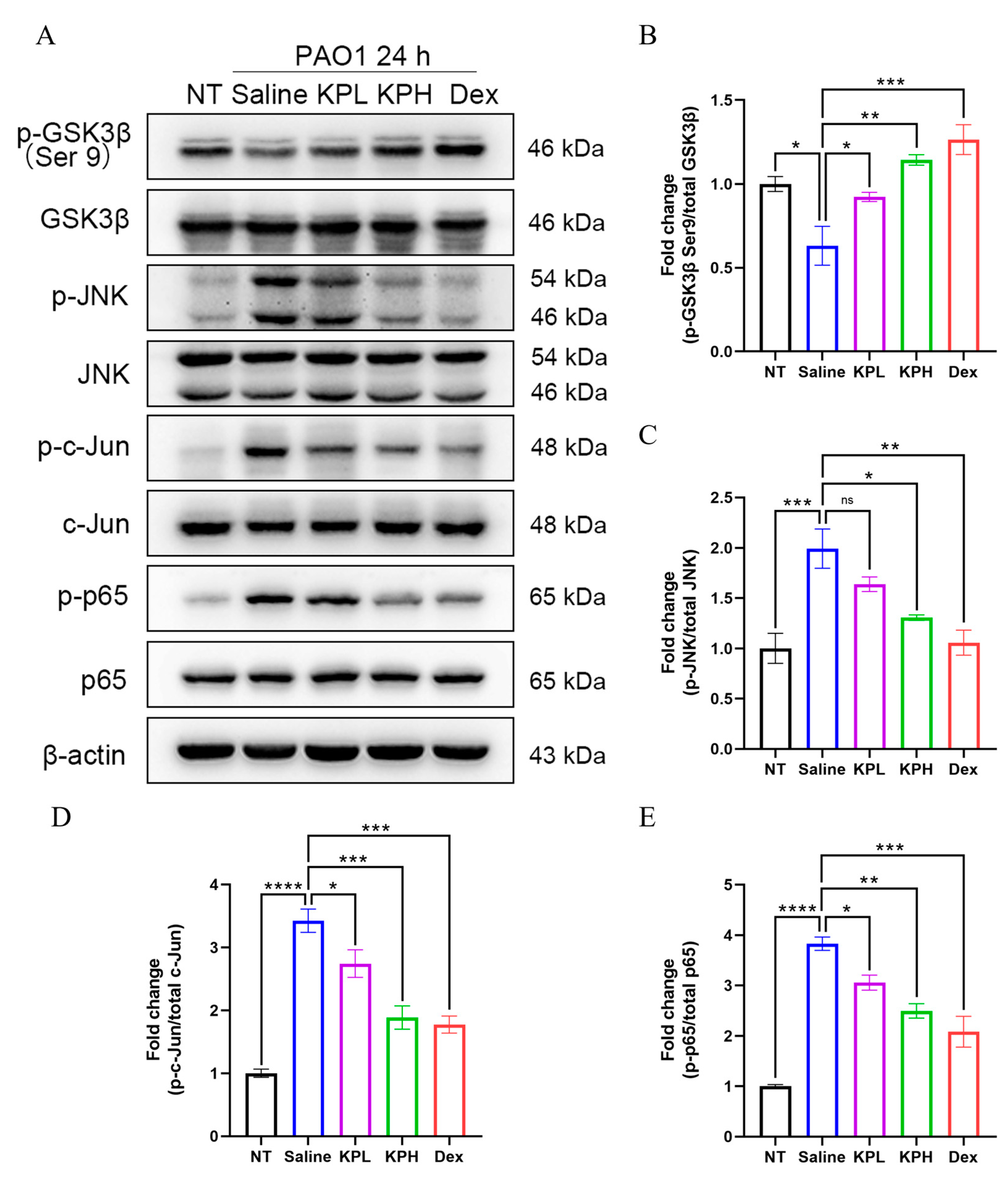 Pharmaceuticals 18 00322 g006