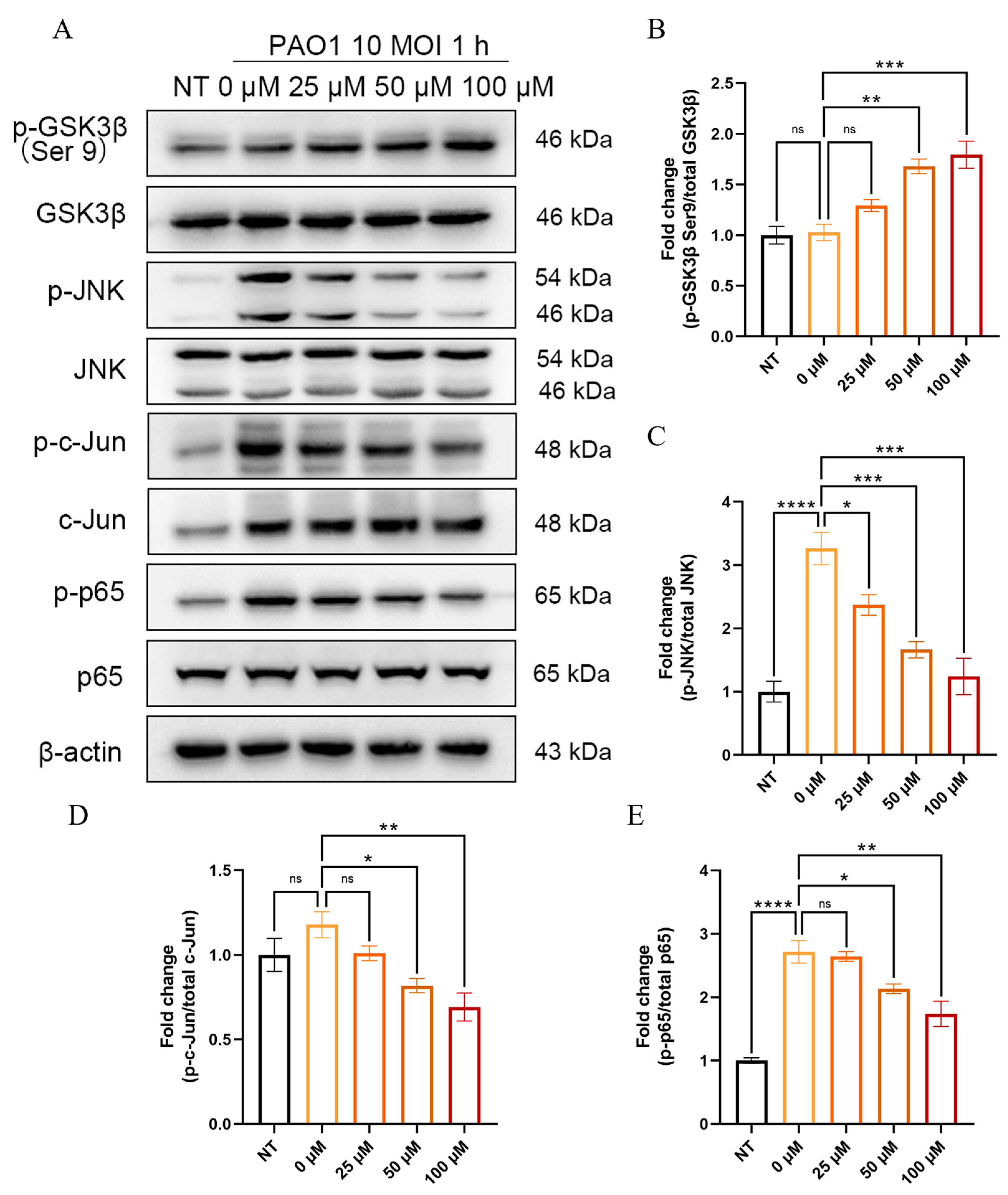 Pharmaceuticals 18 00322 g008