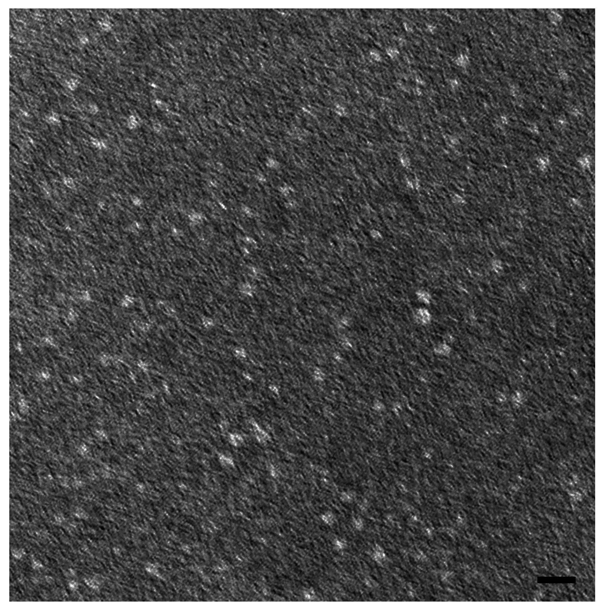 Pharmaceuticals 18 00327 g005