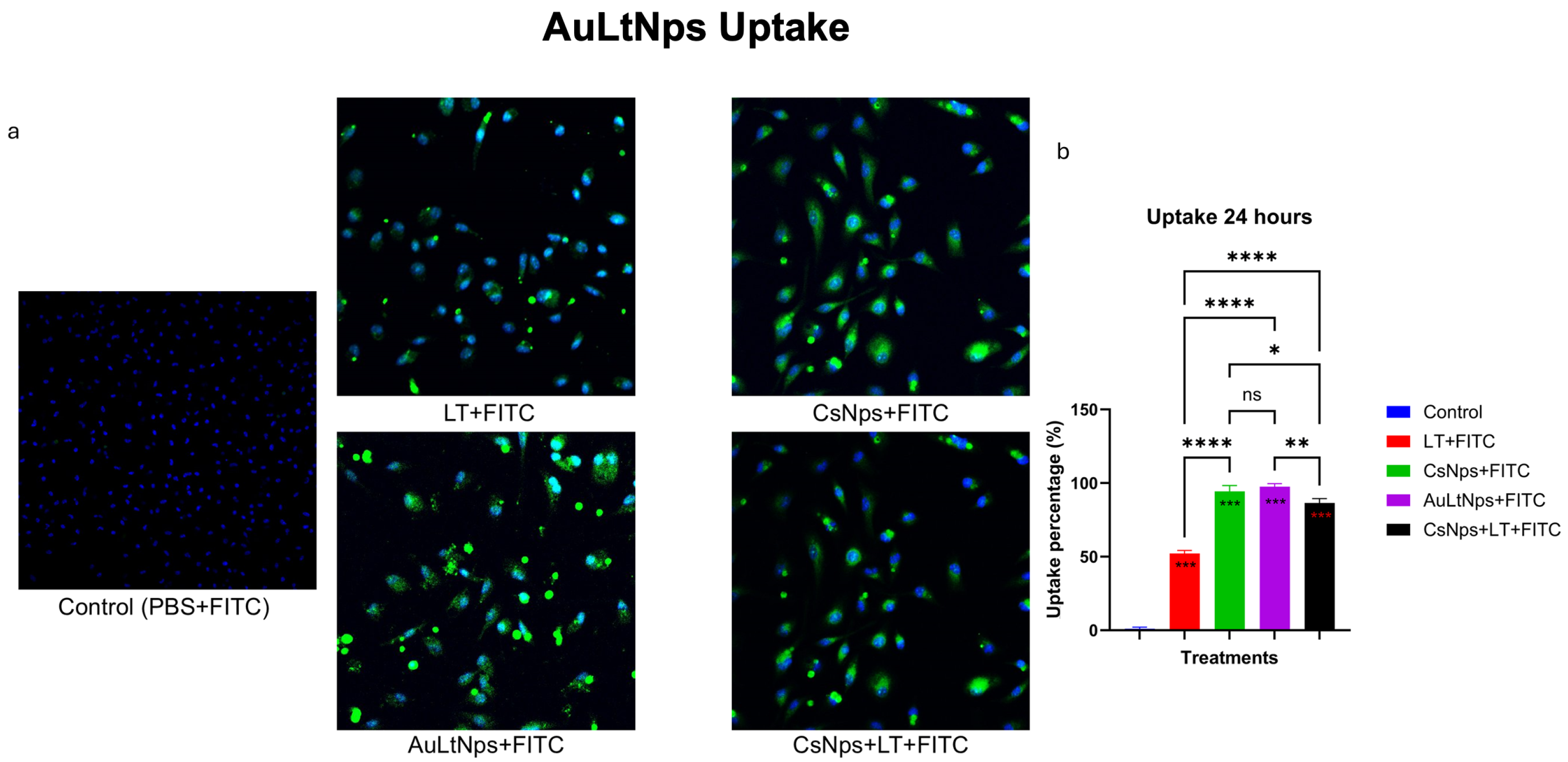 Pharmaceuticals 18 00330 g006