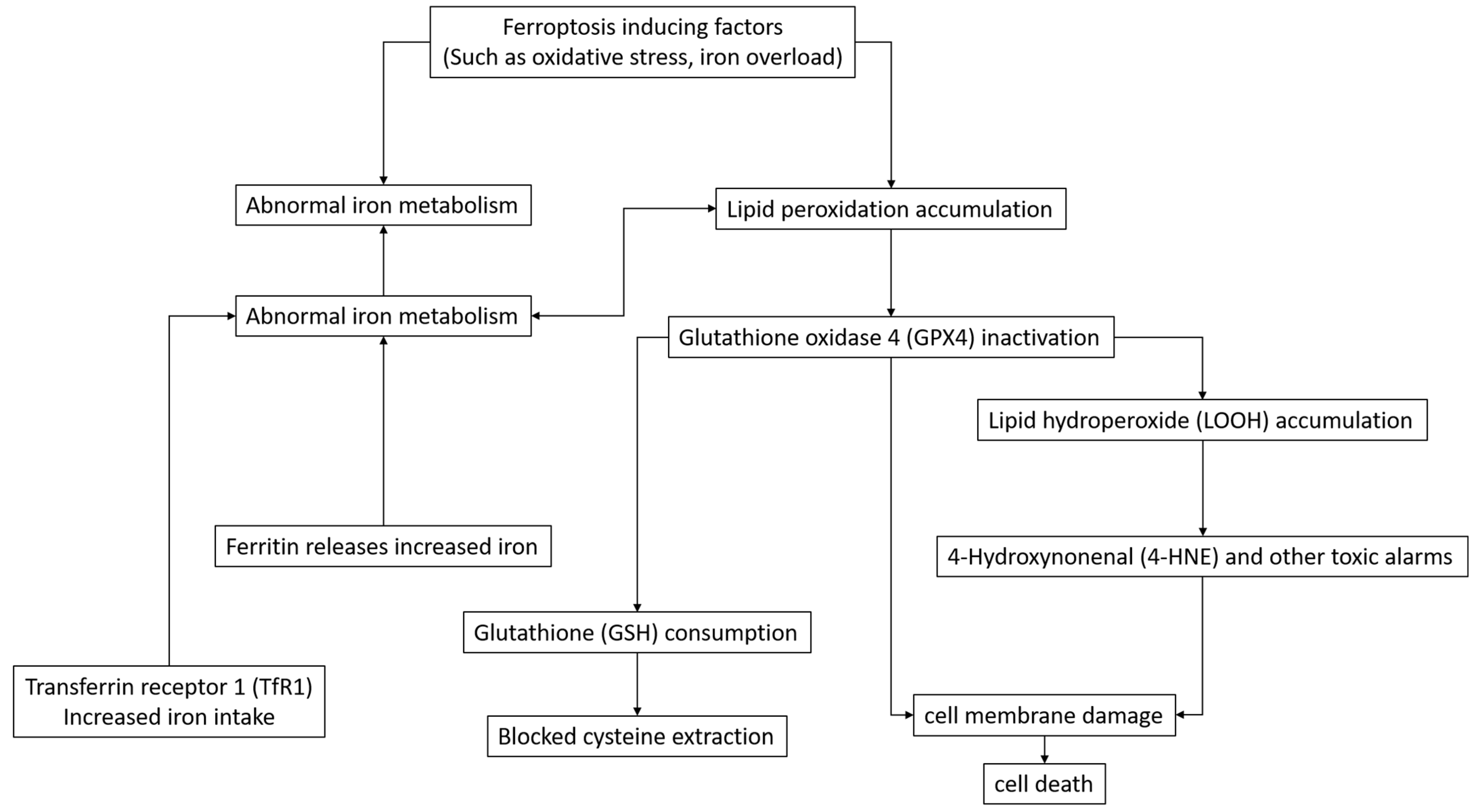 Pharmaceuticals 18 00334 g001