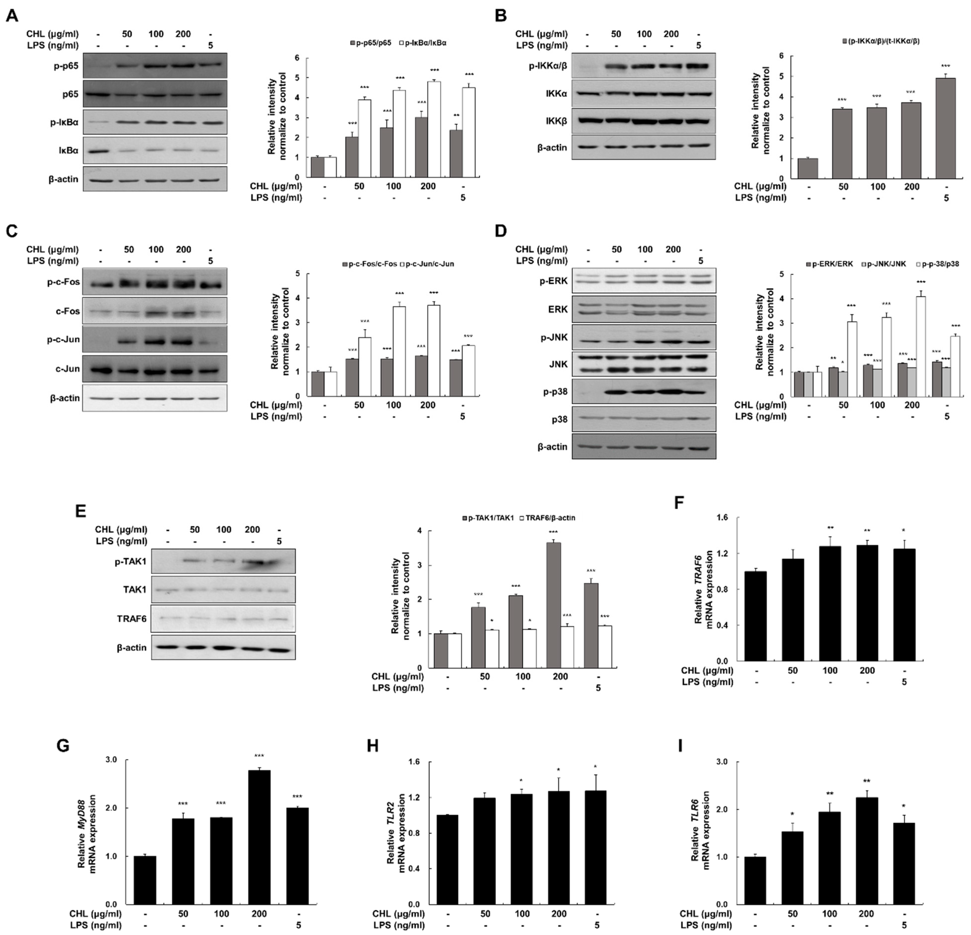Pharmaceuticals 18 00336 g002