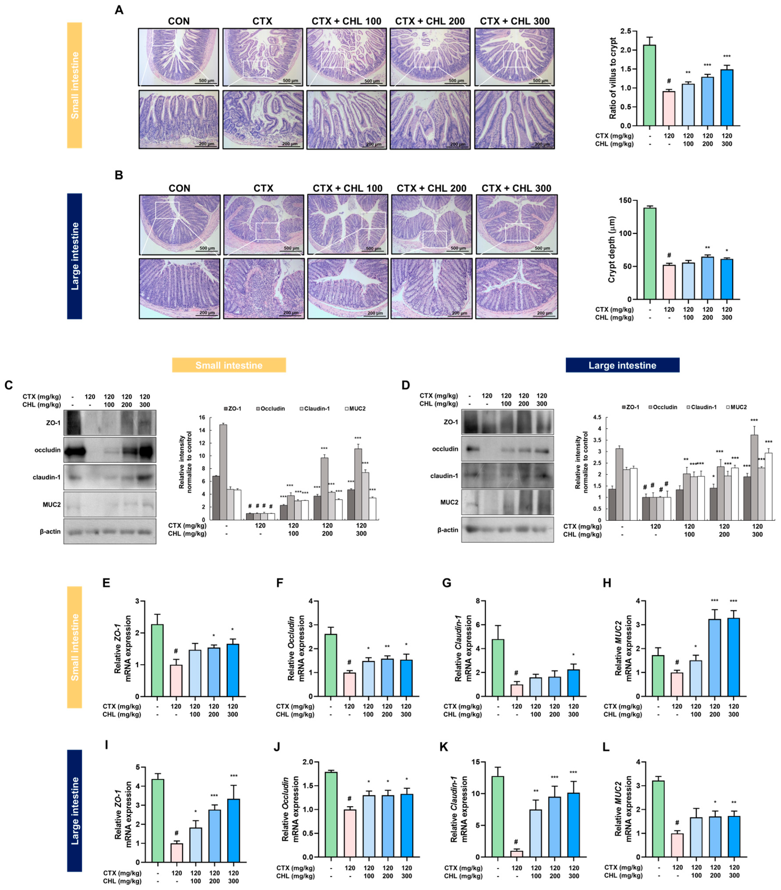 Pharmaceuticals 18 00336 g006