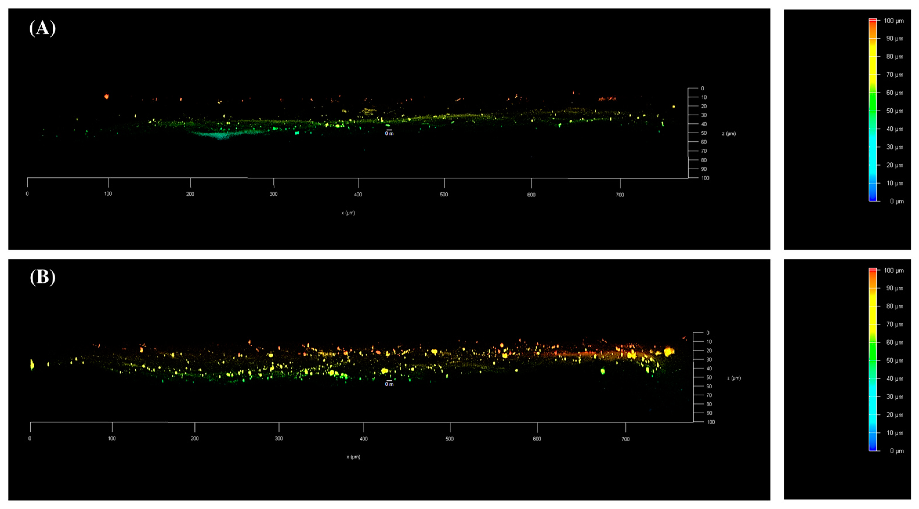 Pharmaceuticals 18 00337 g009
