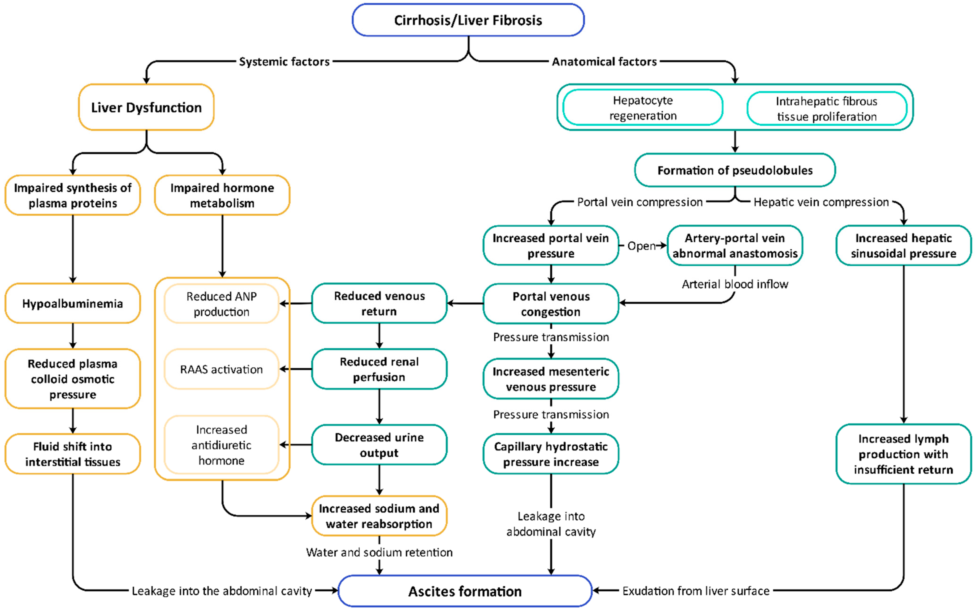 Pharmaceuticals 18 00339 g002