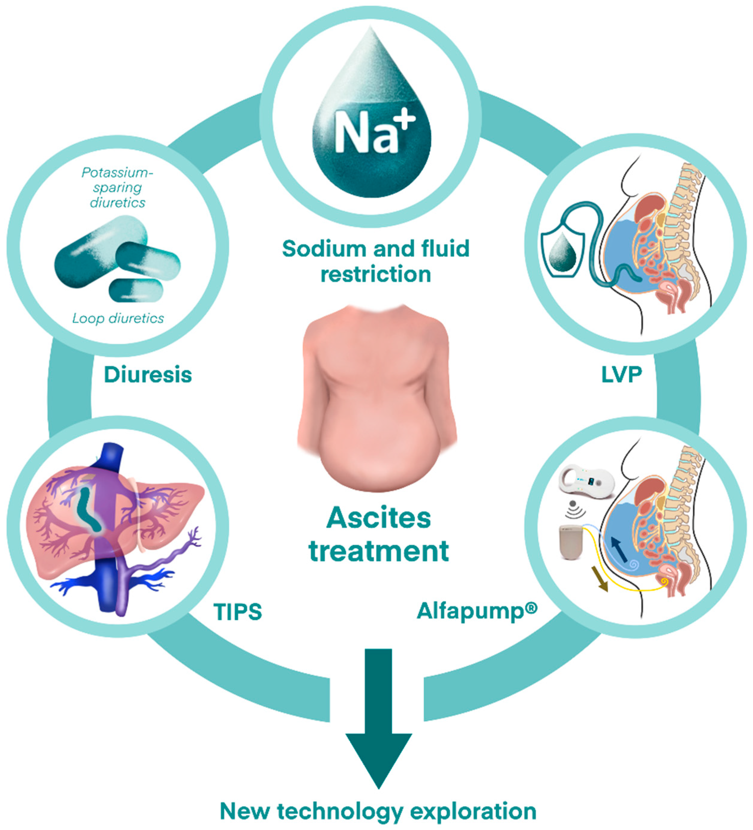Pharmaceuticals 18 00339 g003