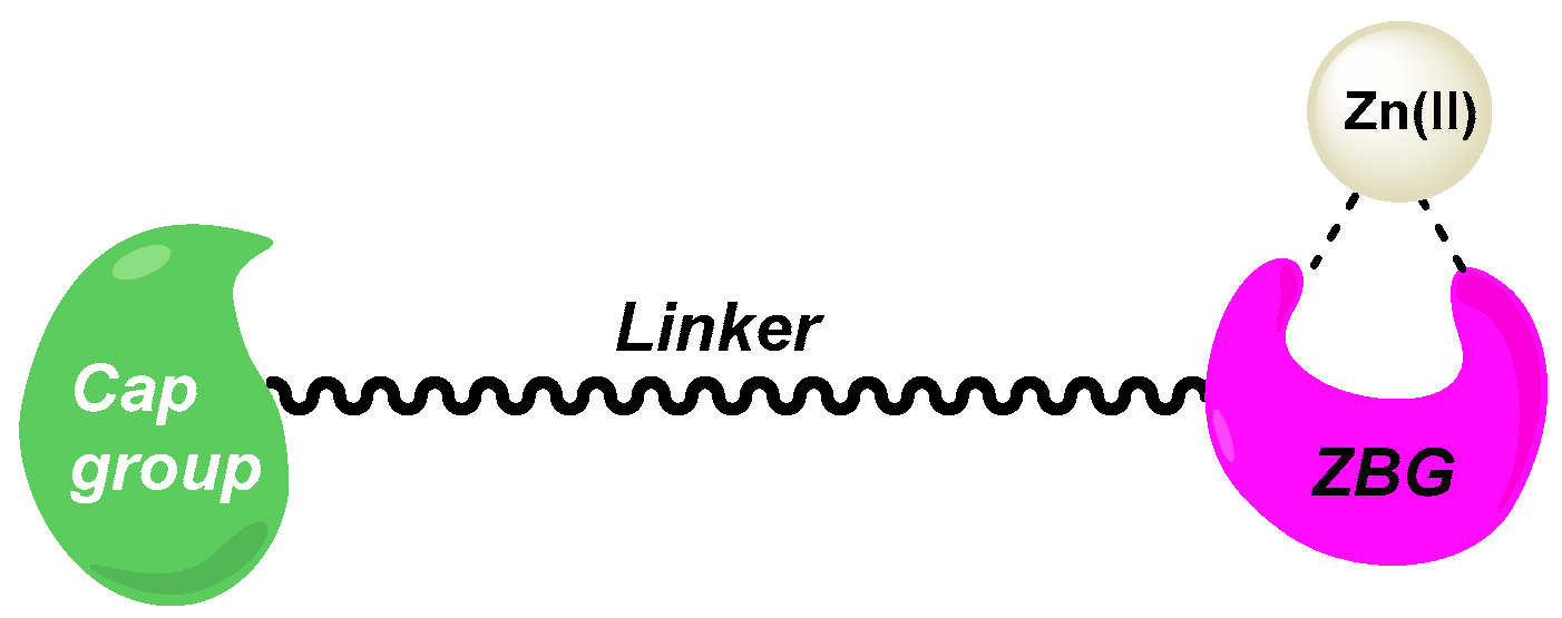 Pharmaceuticals 18 00341 g001